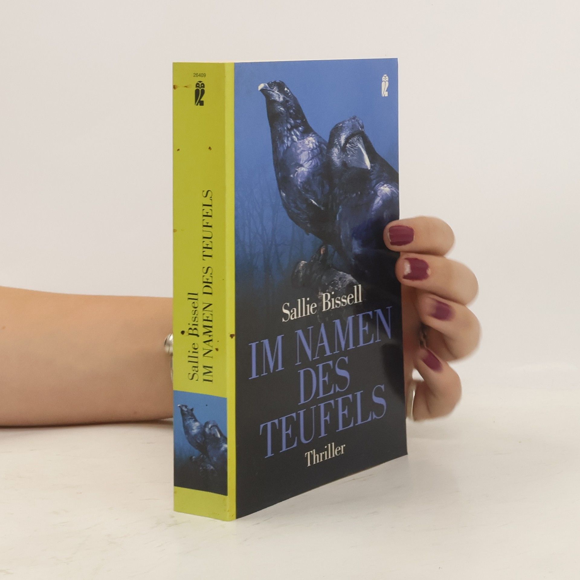 Sallie Bissell Im Namen des Teufels