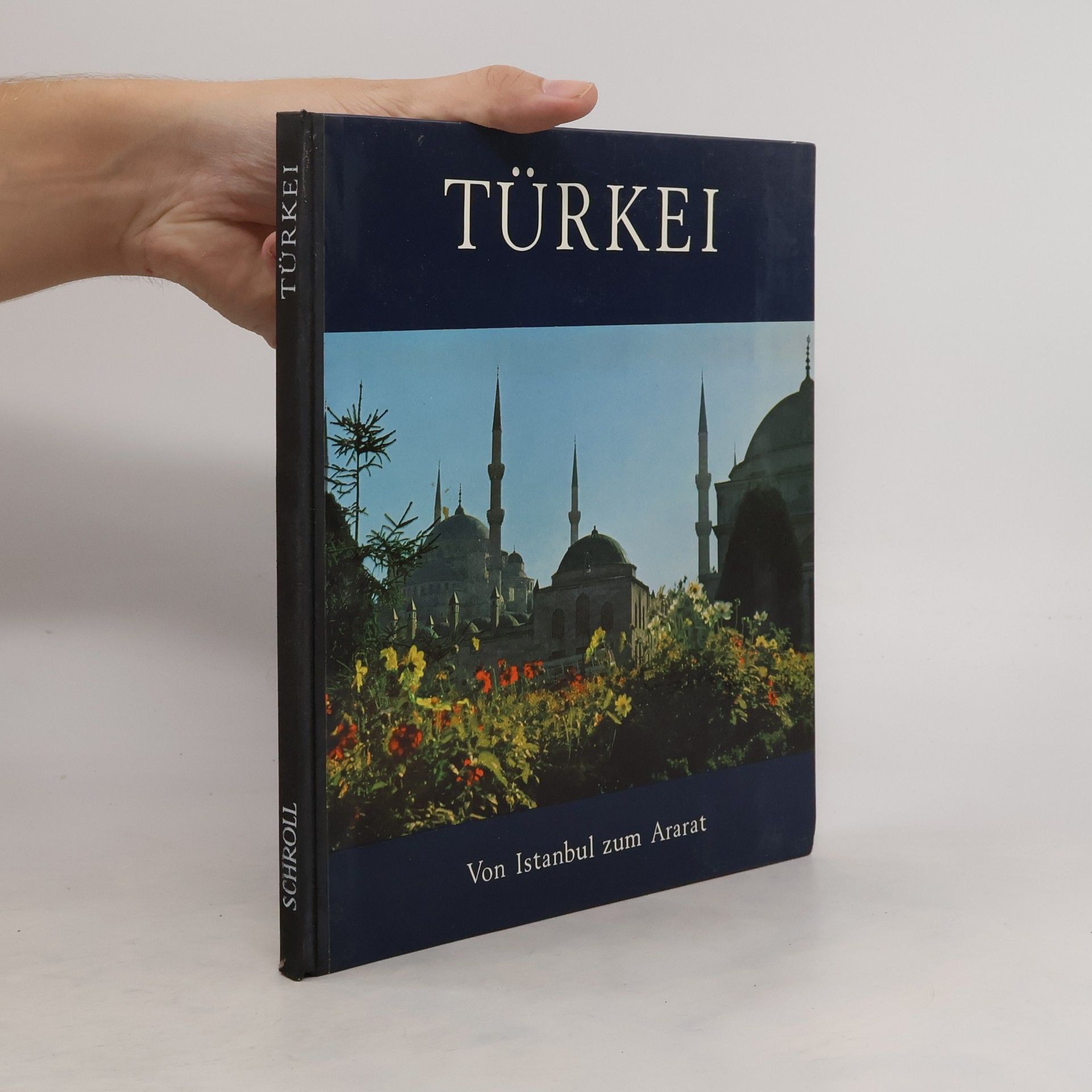 kolektiv Türkei