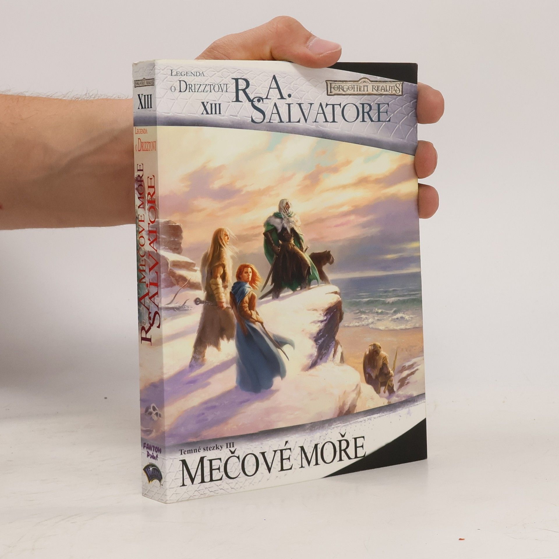 R. A. Salvatore Mečové moře : temné stezky III