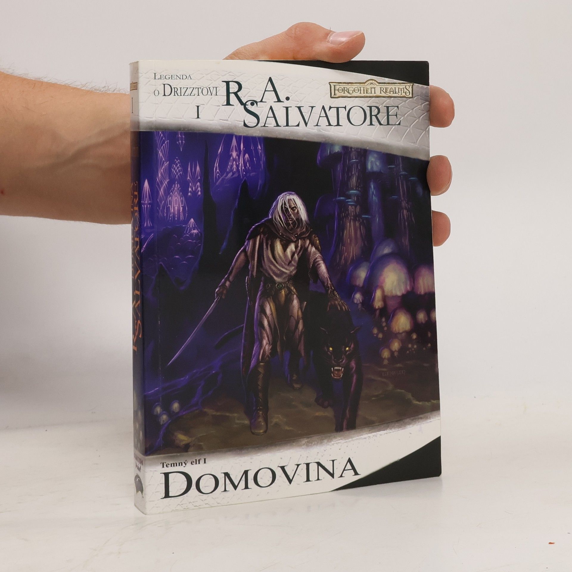 R. A. Salvatore Temný elf. I, Domovina