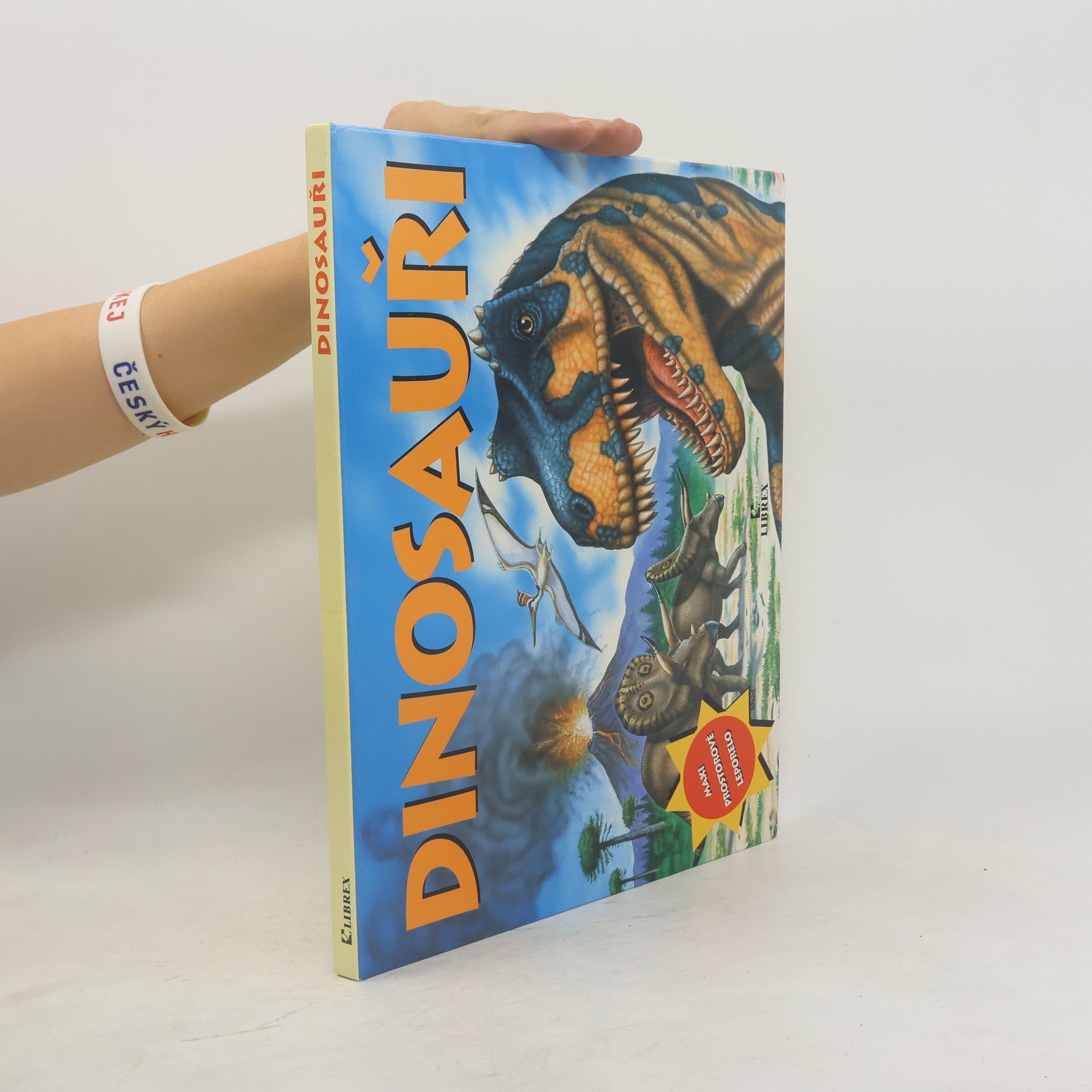 Autorenkollektiv Dinosauři