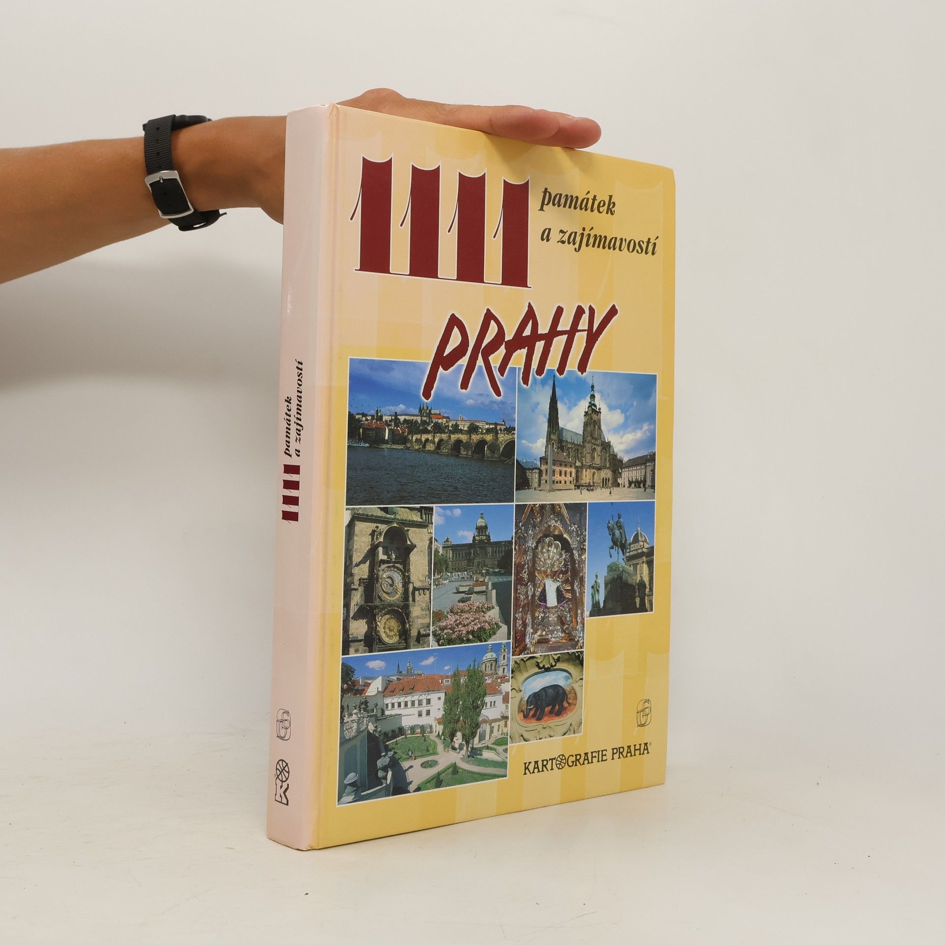 P. David 1111 památek a zajímavostí Prahy