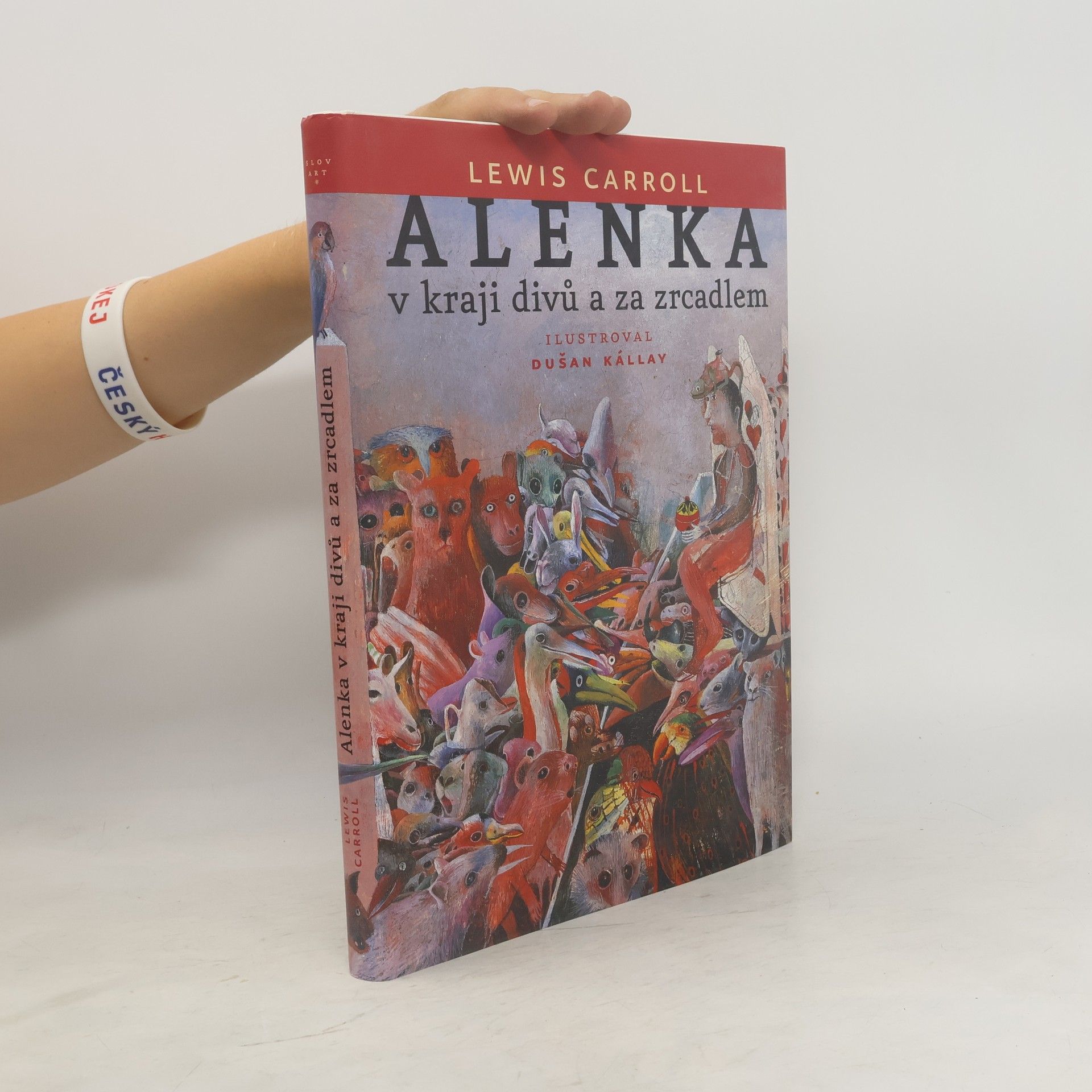 Dušan Kállay Alenka v kraji divů a za zrcadlem