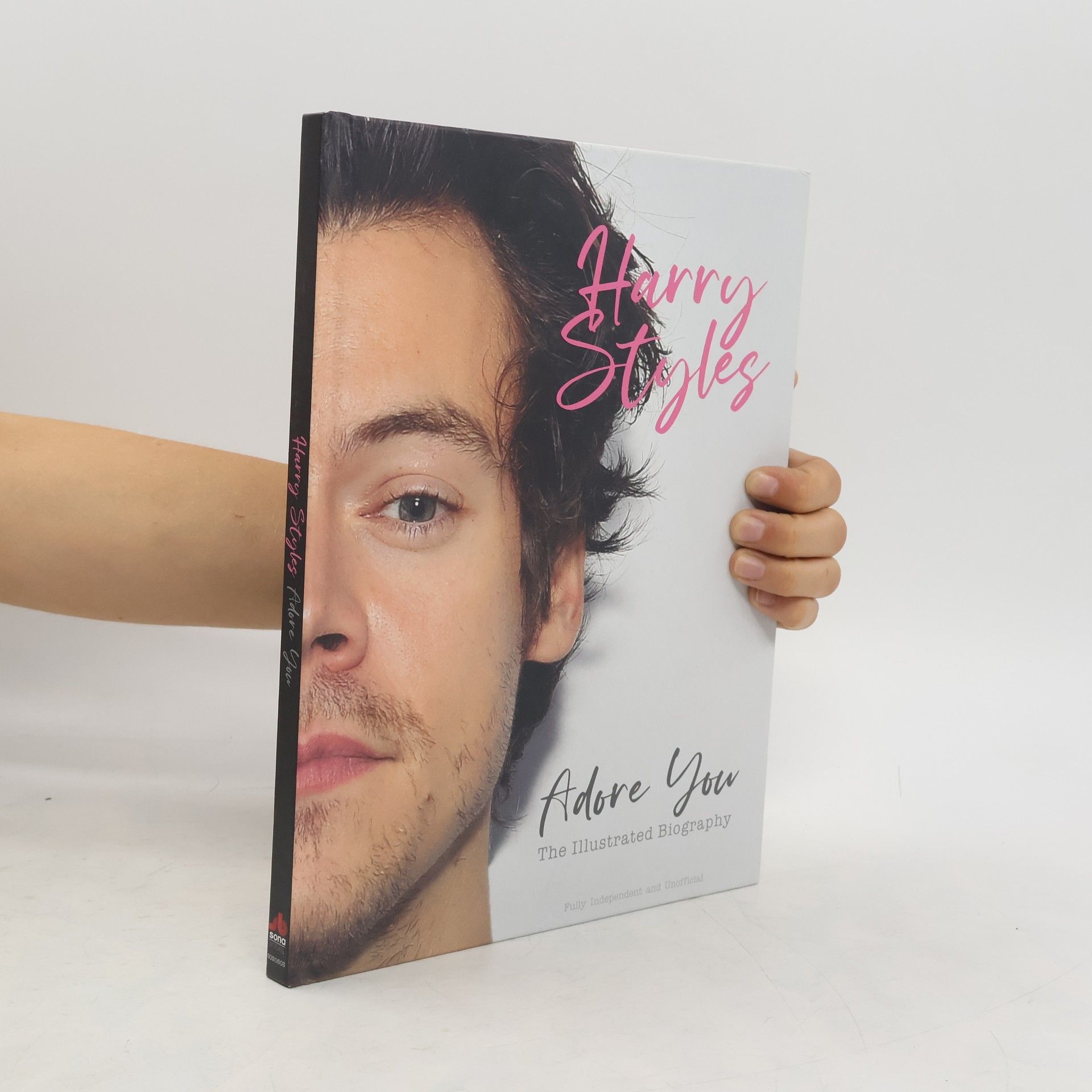 Carolyn McHugh Harry Styles: Adore You