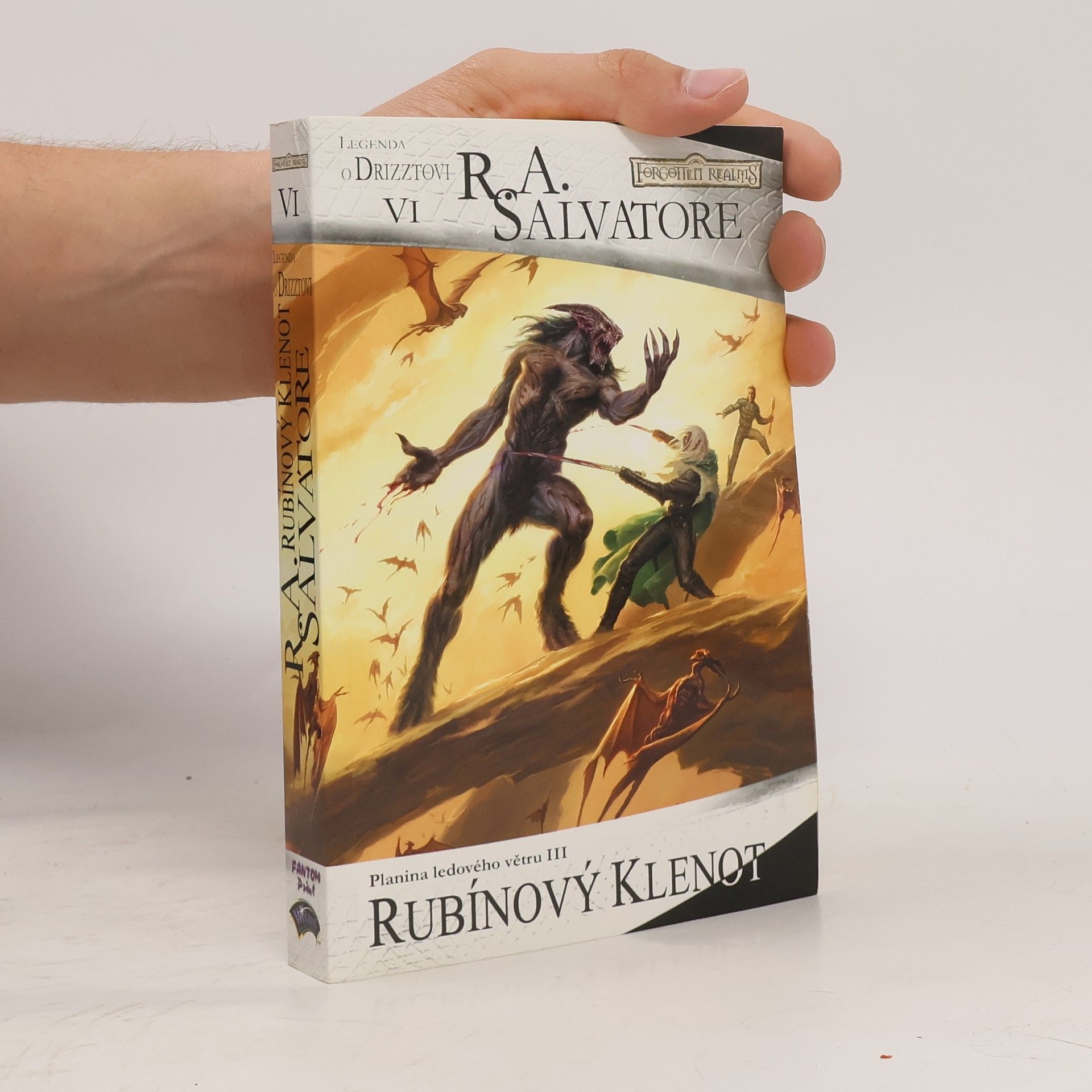 R. A. Salvatore Planina ledového větru. III, Rubínový klenot