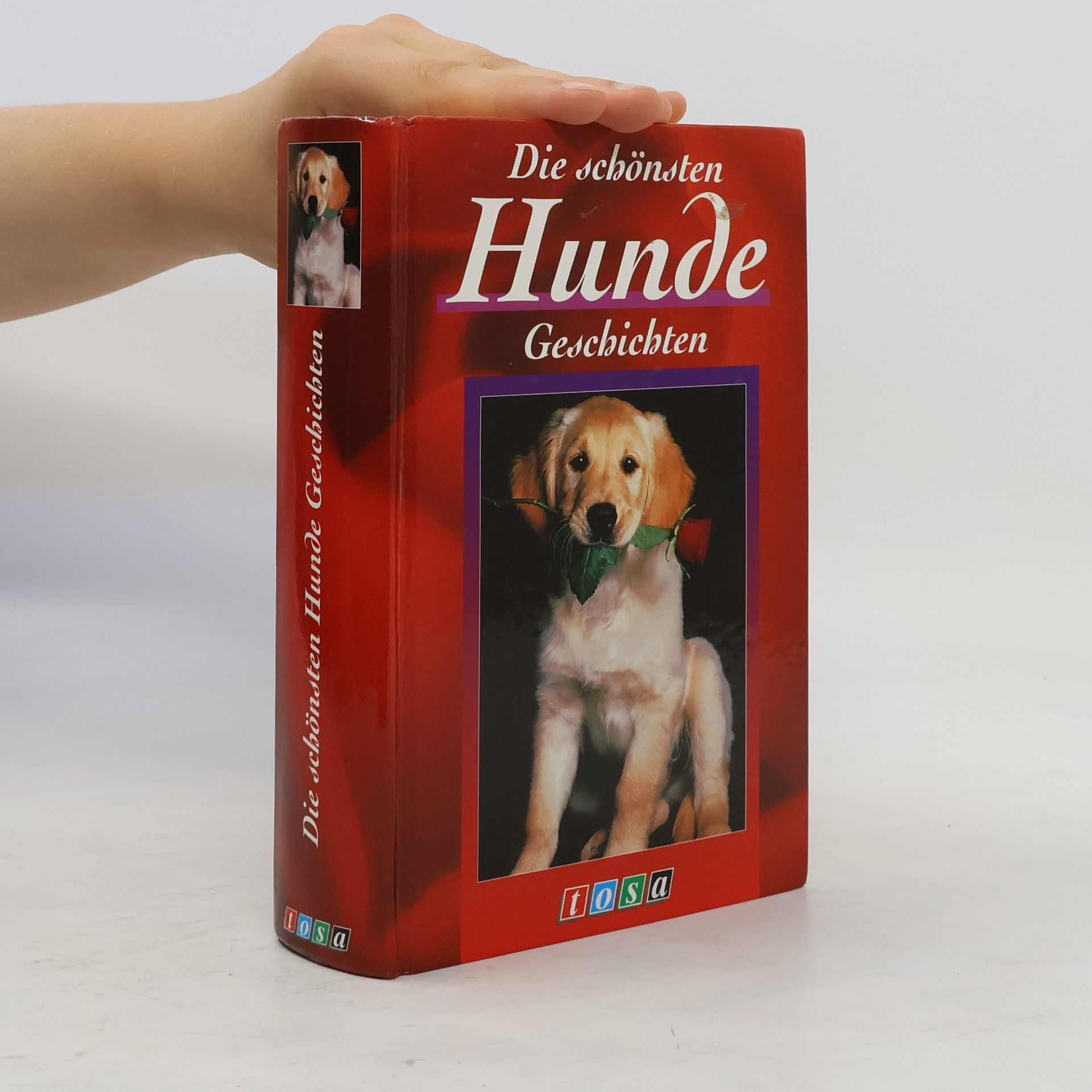 Kolektiv autorů Die schönsten Hunde-Geschichten