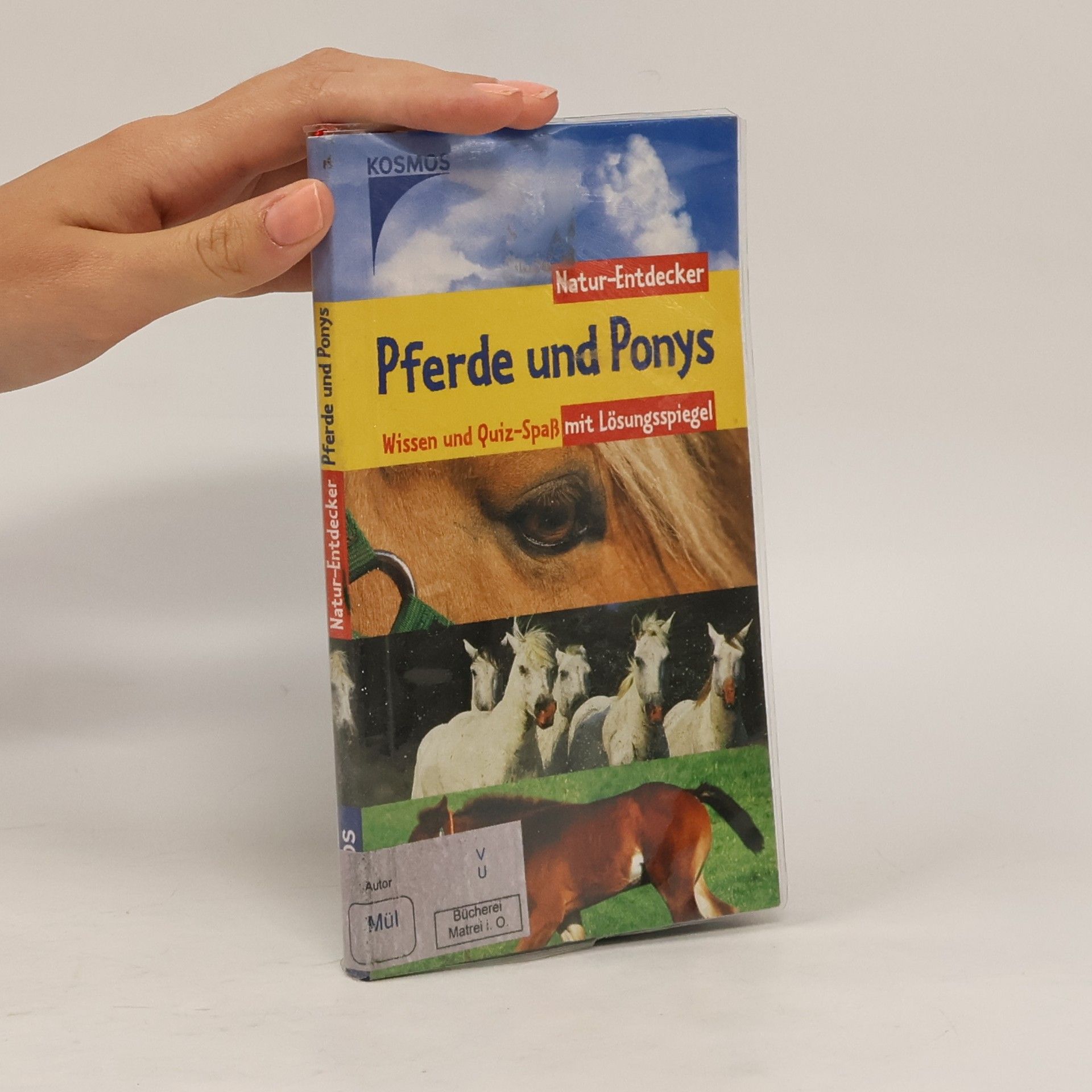 Dominik Müller Pferde & Ponys