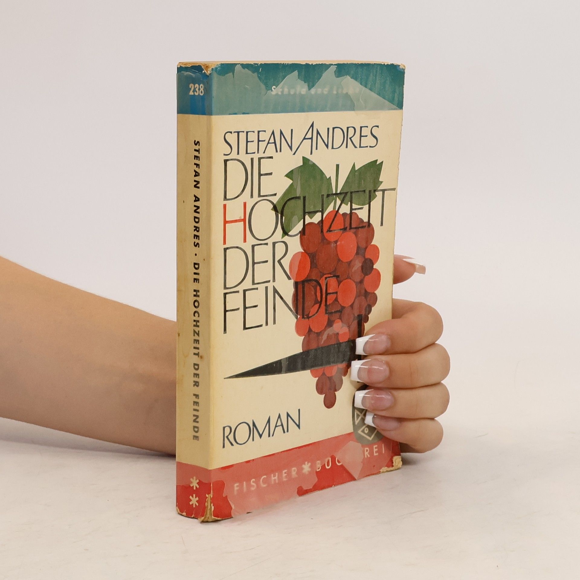 Stefan Andres Die Hochzeit der Feinde