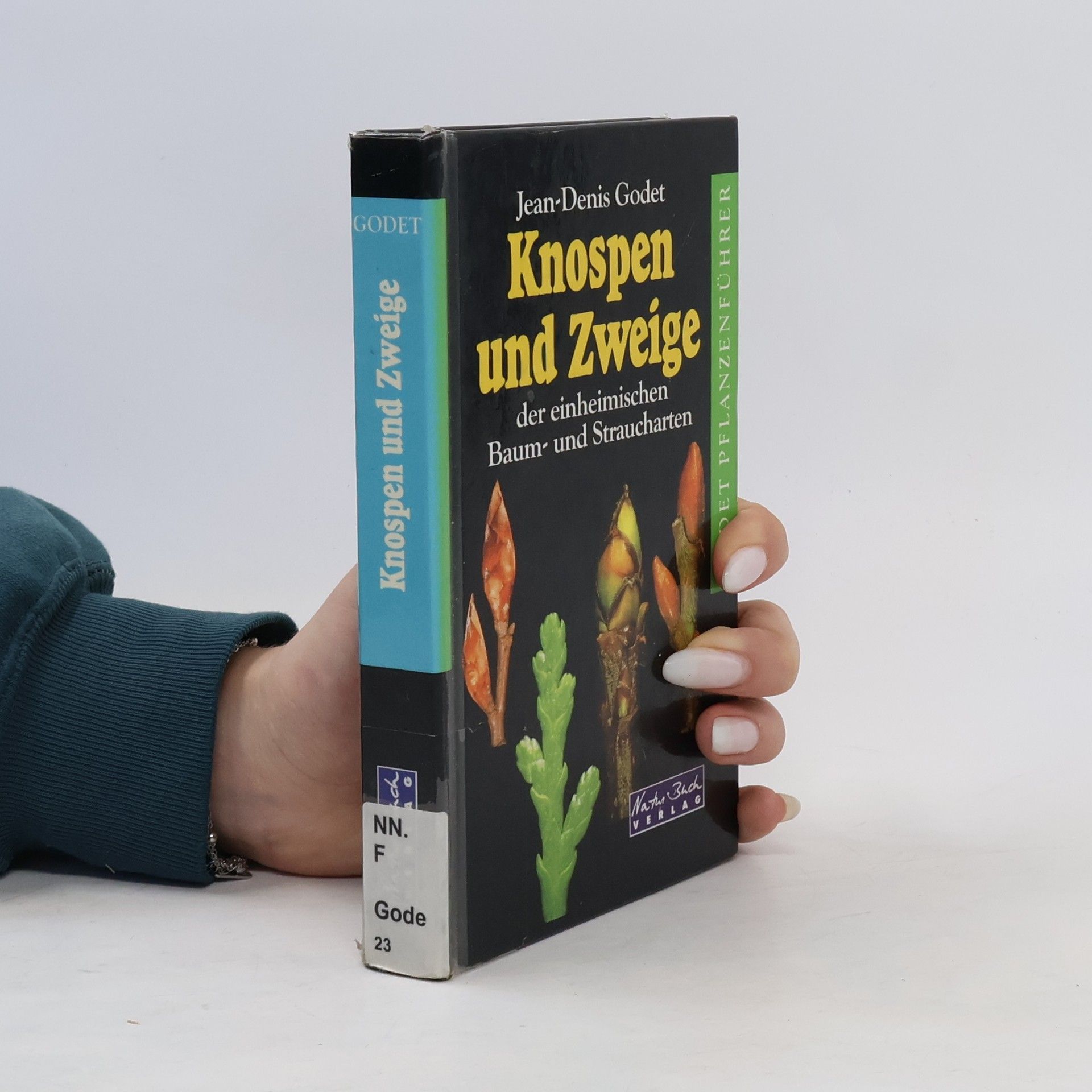 Jean Denis Godet Knospen und Zweige der einheimischen Baum- und Straucharten sicher und schnell bestimmen
