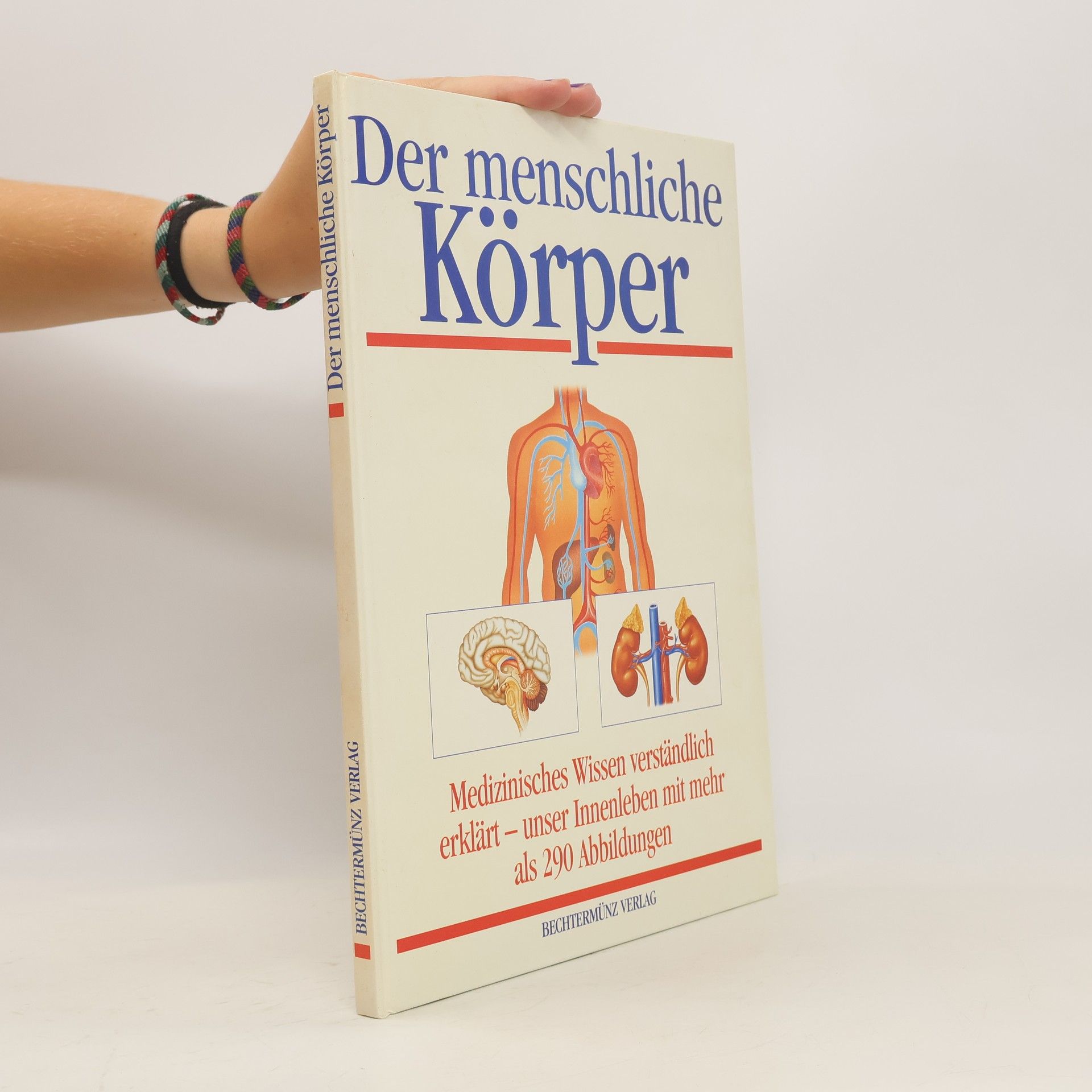 Michael Damm Der menschliche Körper