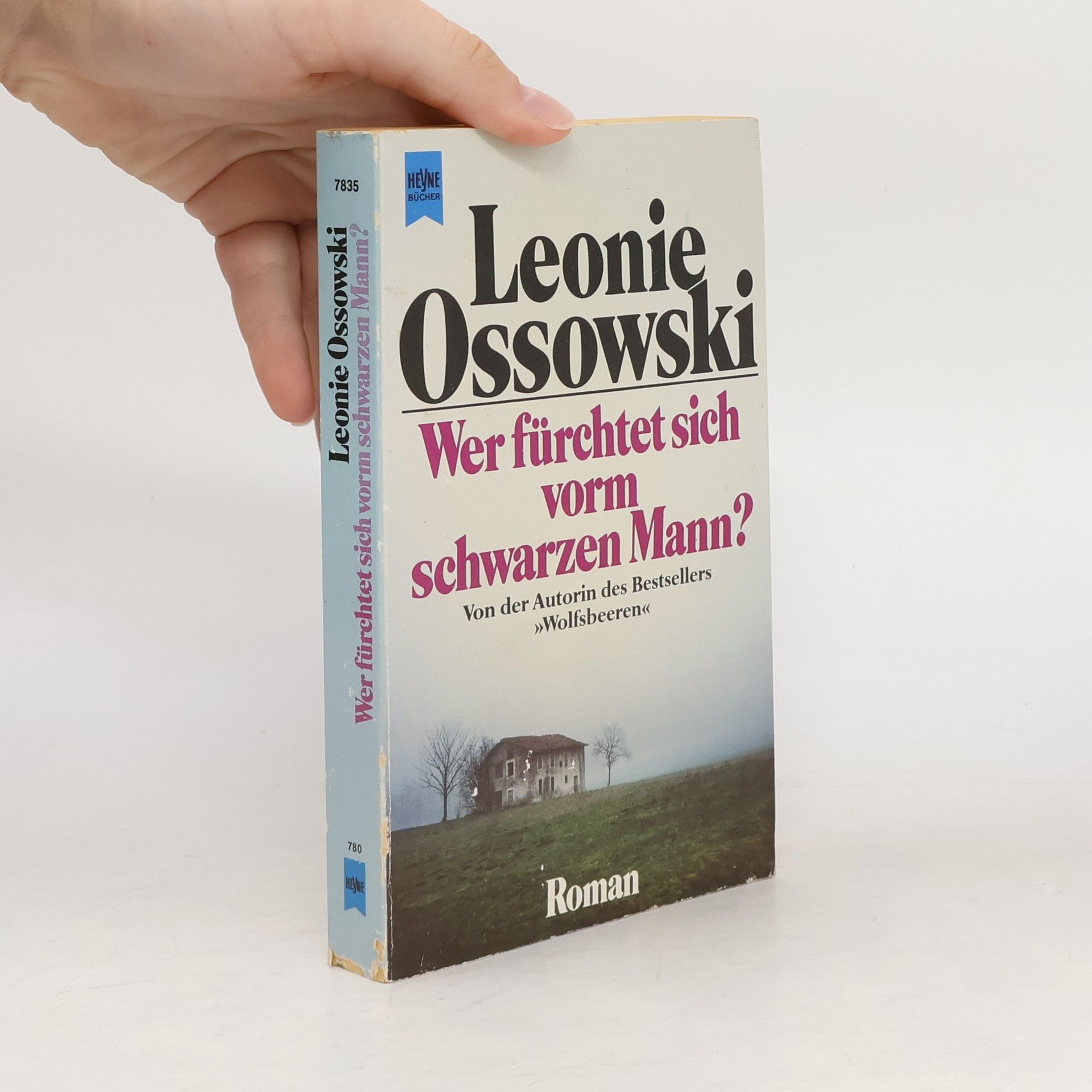 Leonie Ossowski Wer fürchtet sich vorm schwarzen Mann?. Roman