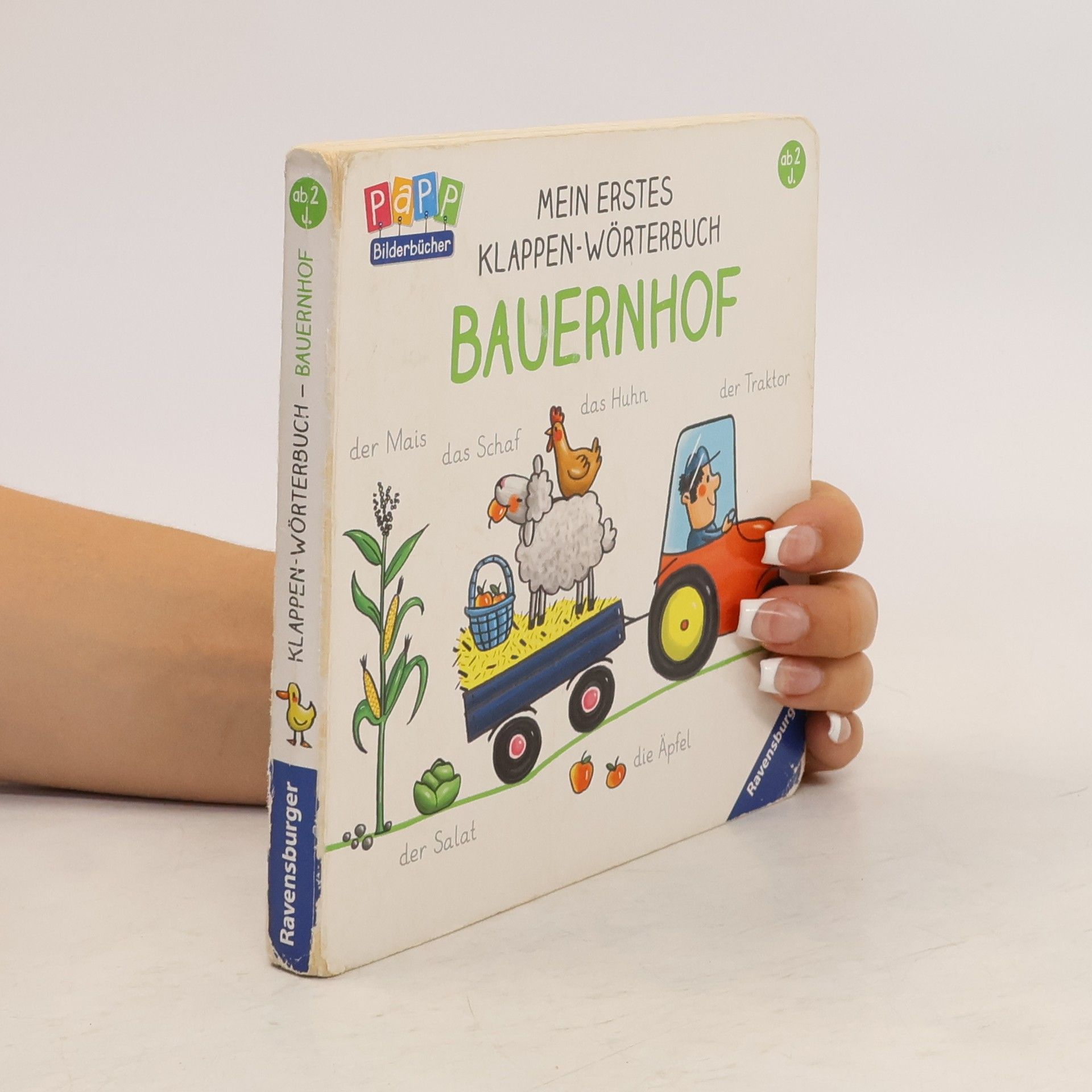 Martina Badstuber Mein erstes Klappen-Wörterbuch