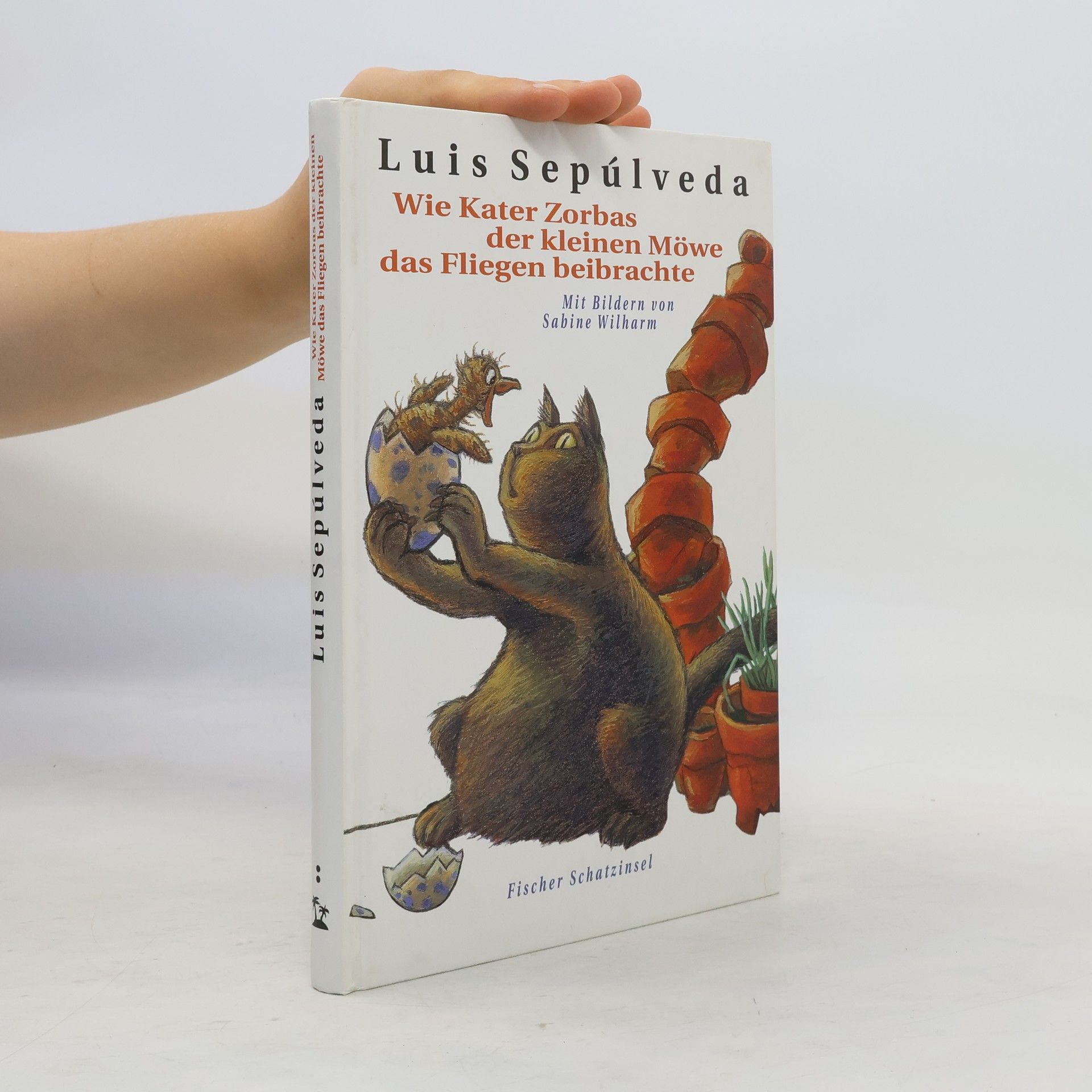 Luis Sepúlveda Wie Kater Zorbas der kleinen Möwe das Fliegen beibrachte