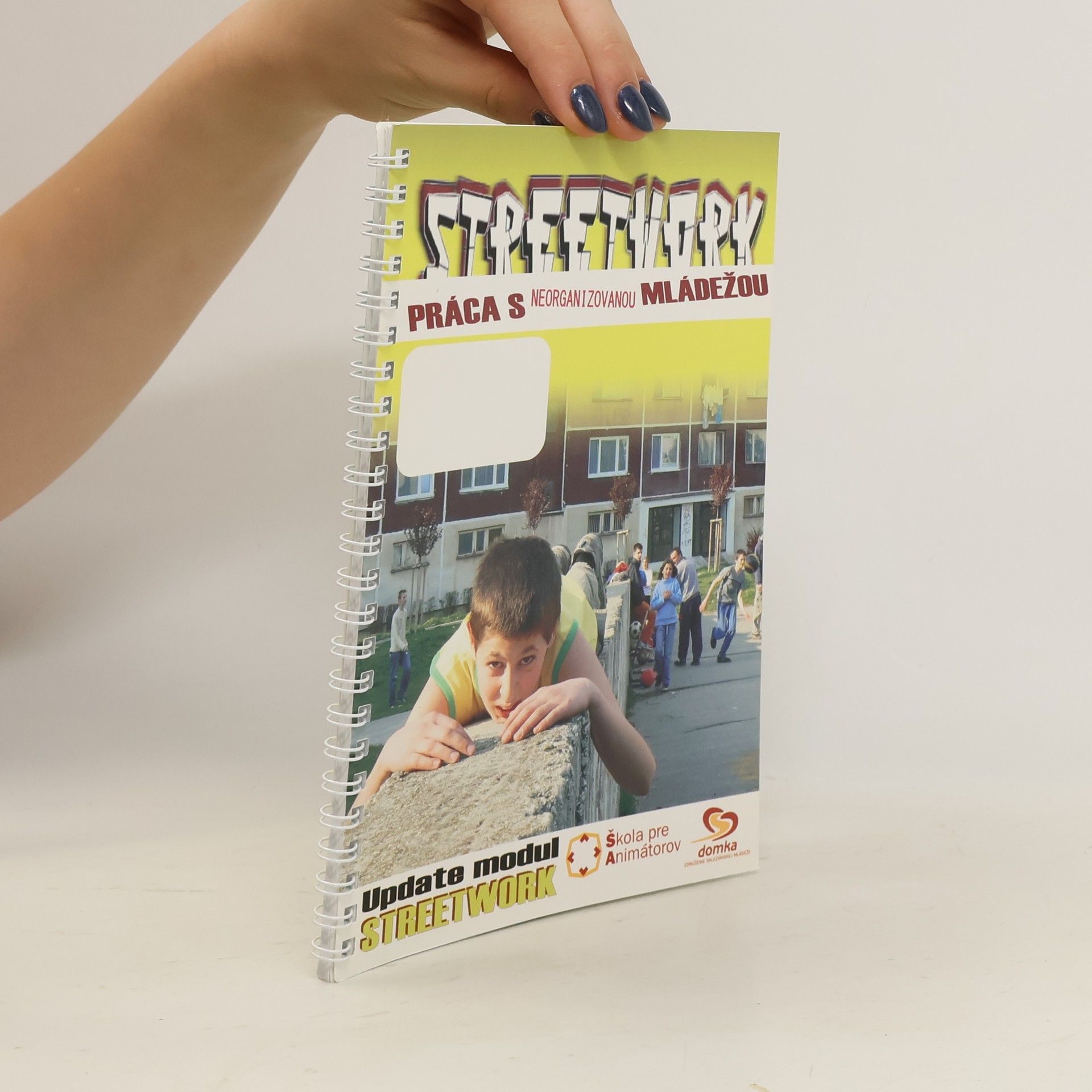 kolektiv Streetwork. Práca s neorganizovanou mládežou