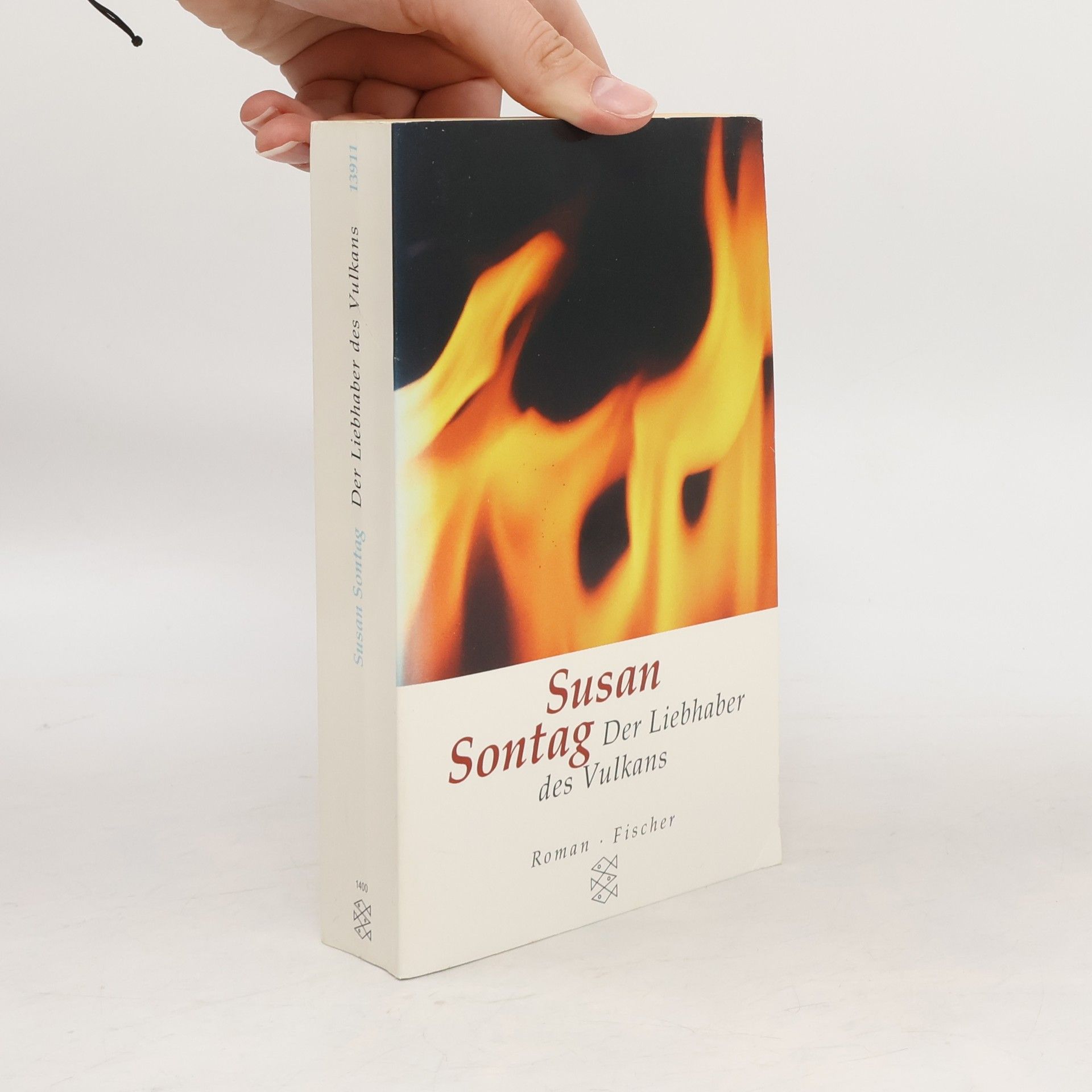 Susan Sontag Der Liebhaber des Vulkans
