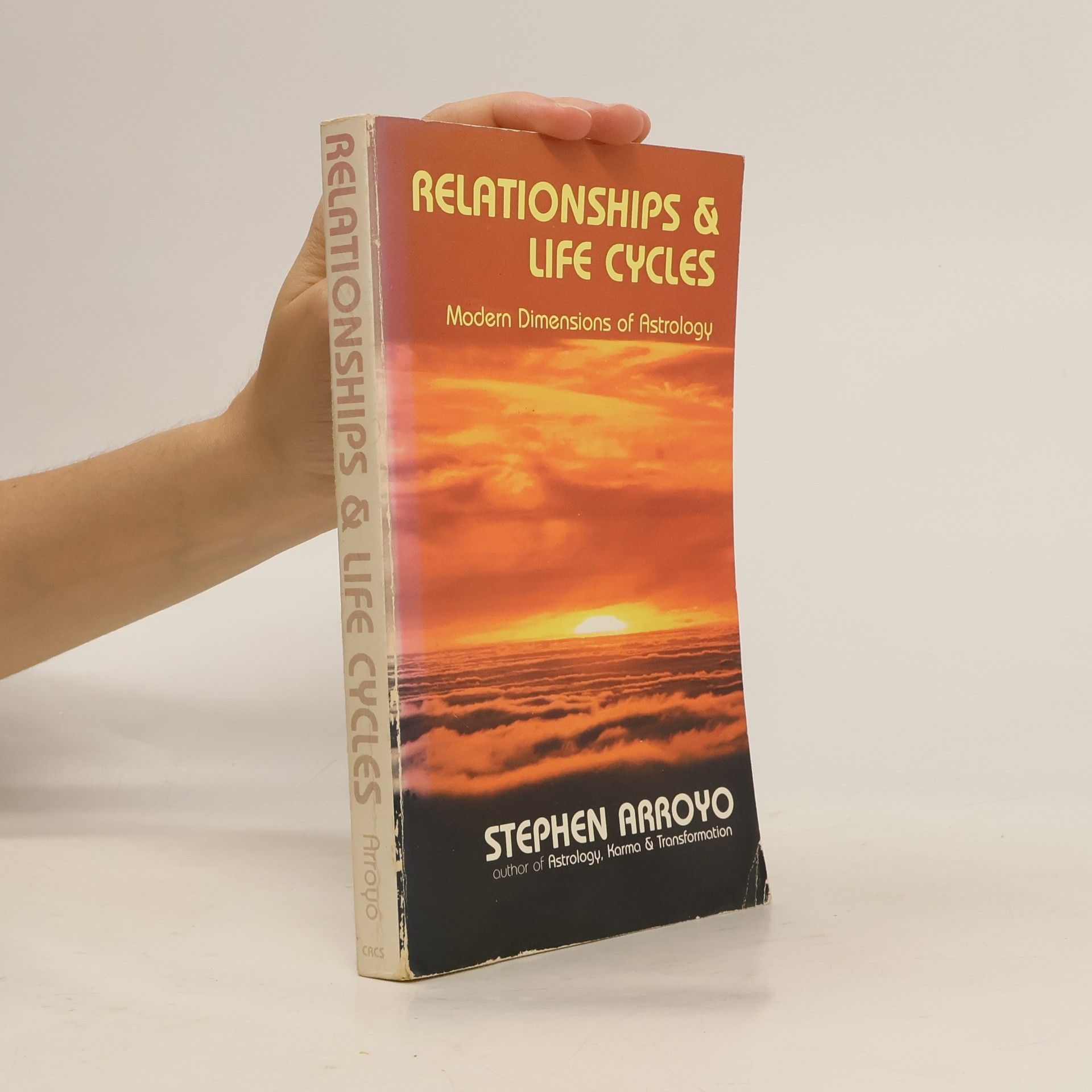 Stephen Arroyo Relationships & Life Cycles