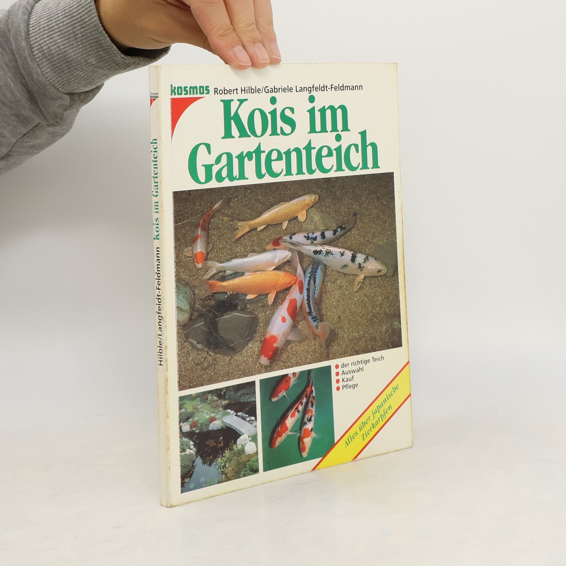 Robert Hilble Kois im Gartenteich