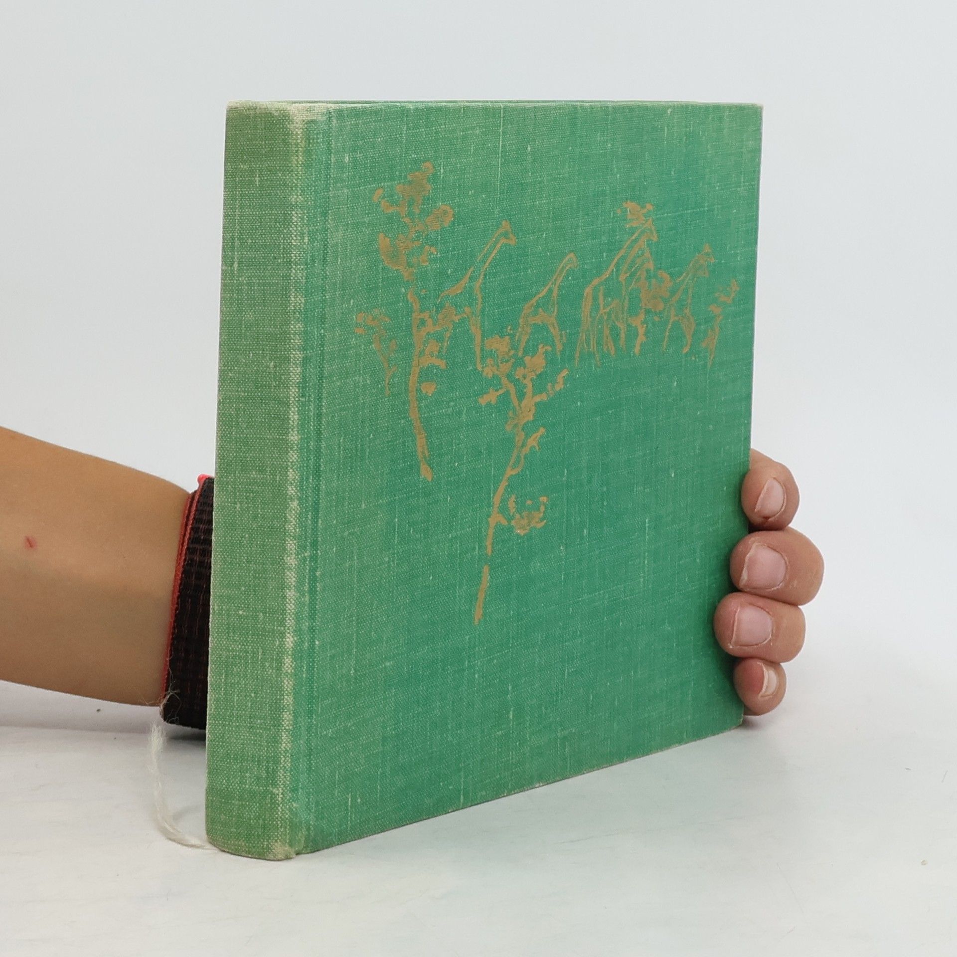 Zdena Vágnerová Sen safari