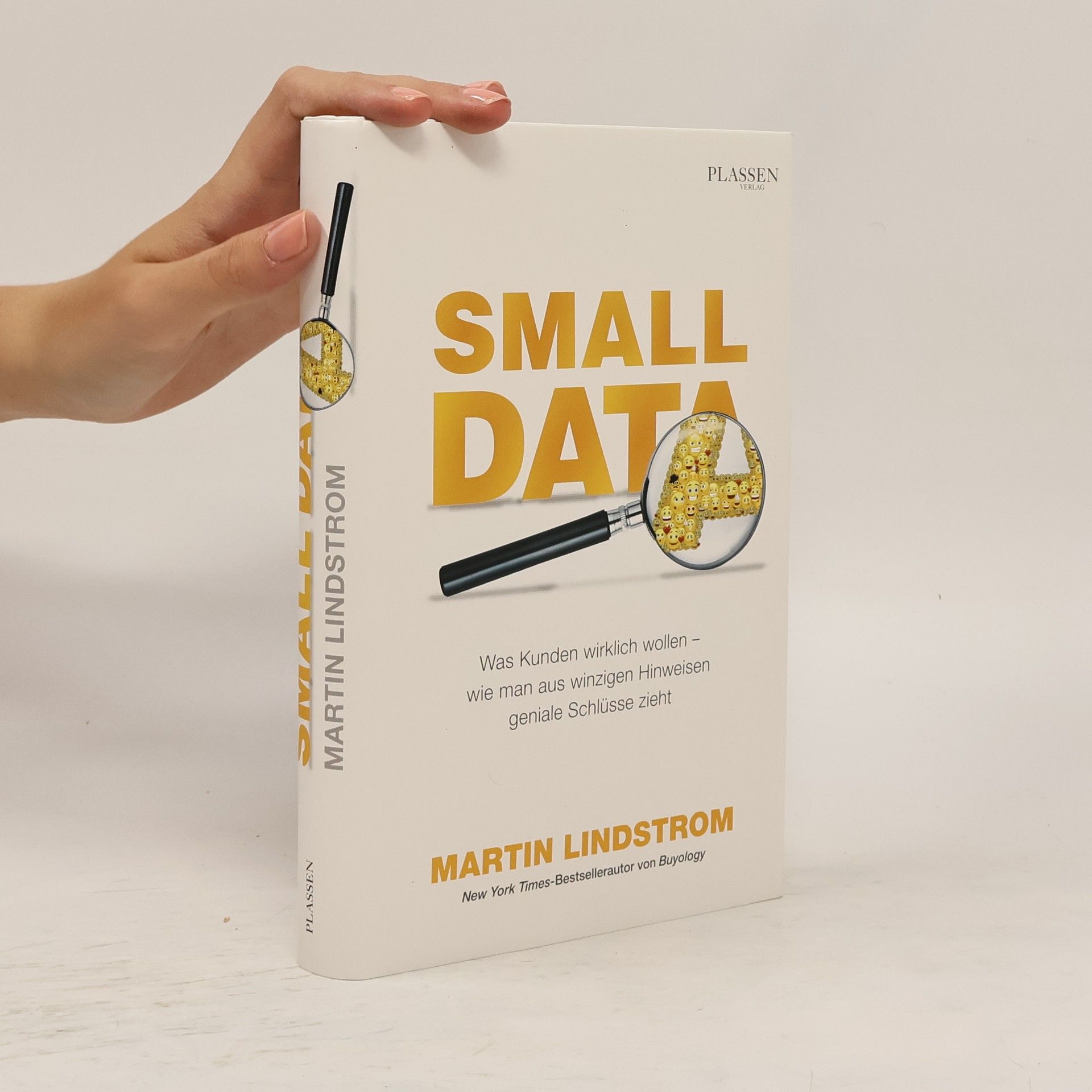 Martin Lindstrøm Small Data