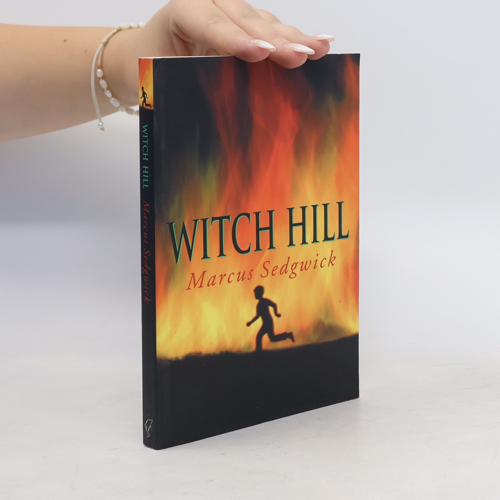 Marcus Sedgwick Witch Hill
