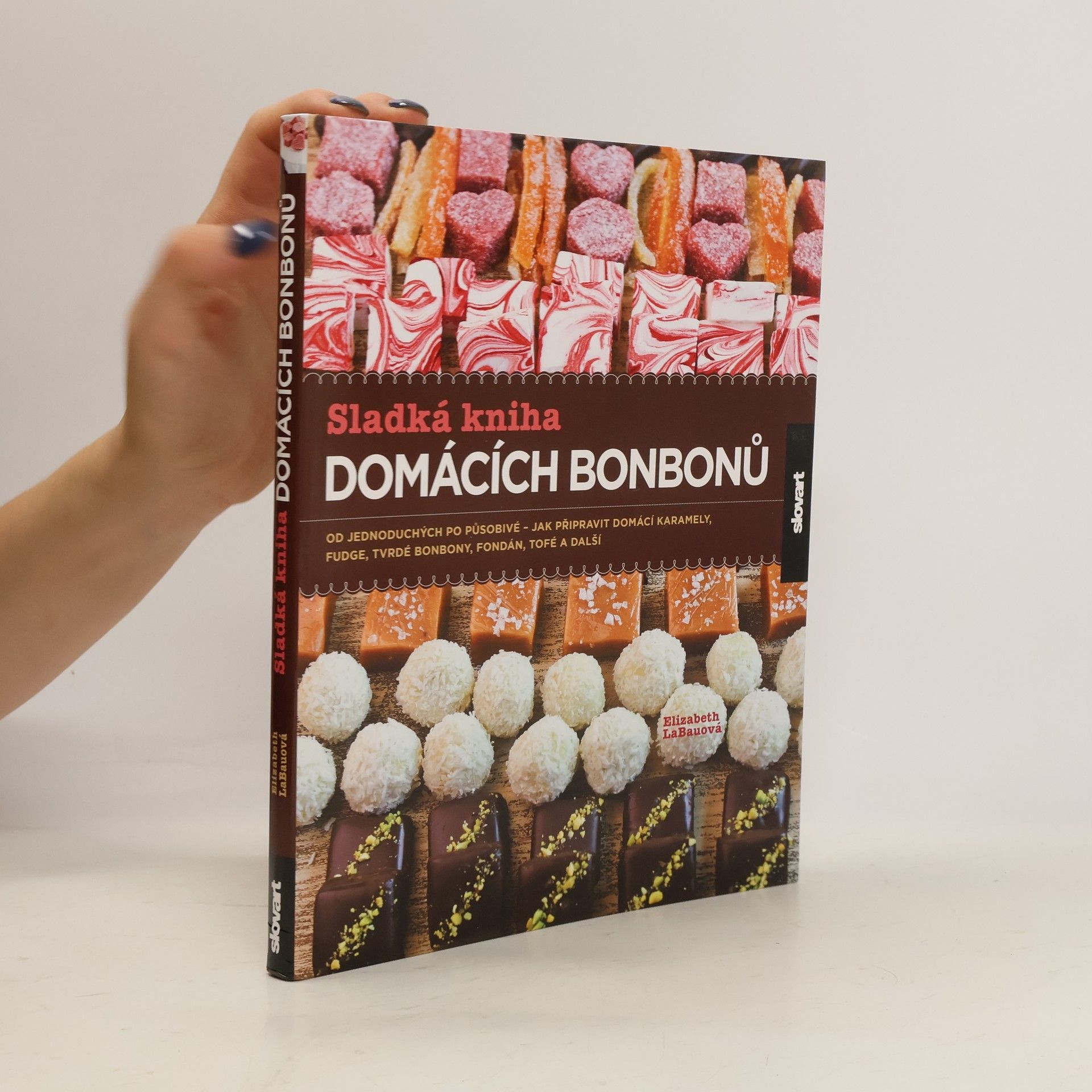 Elizabeth LaBau Sladká kniha domácích bonbonů