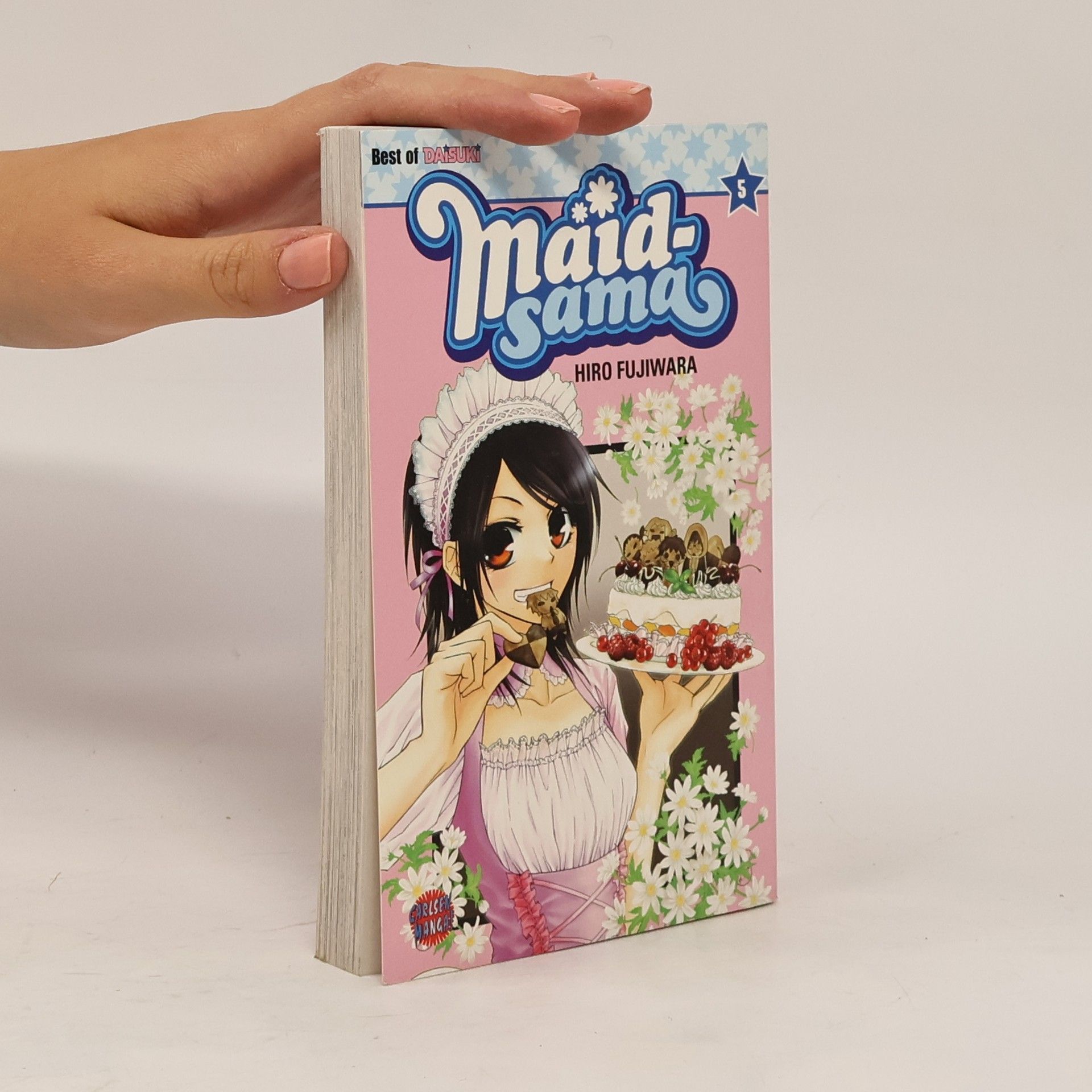 Hiro Fujiwara Maid-sama 5
