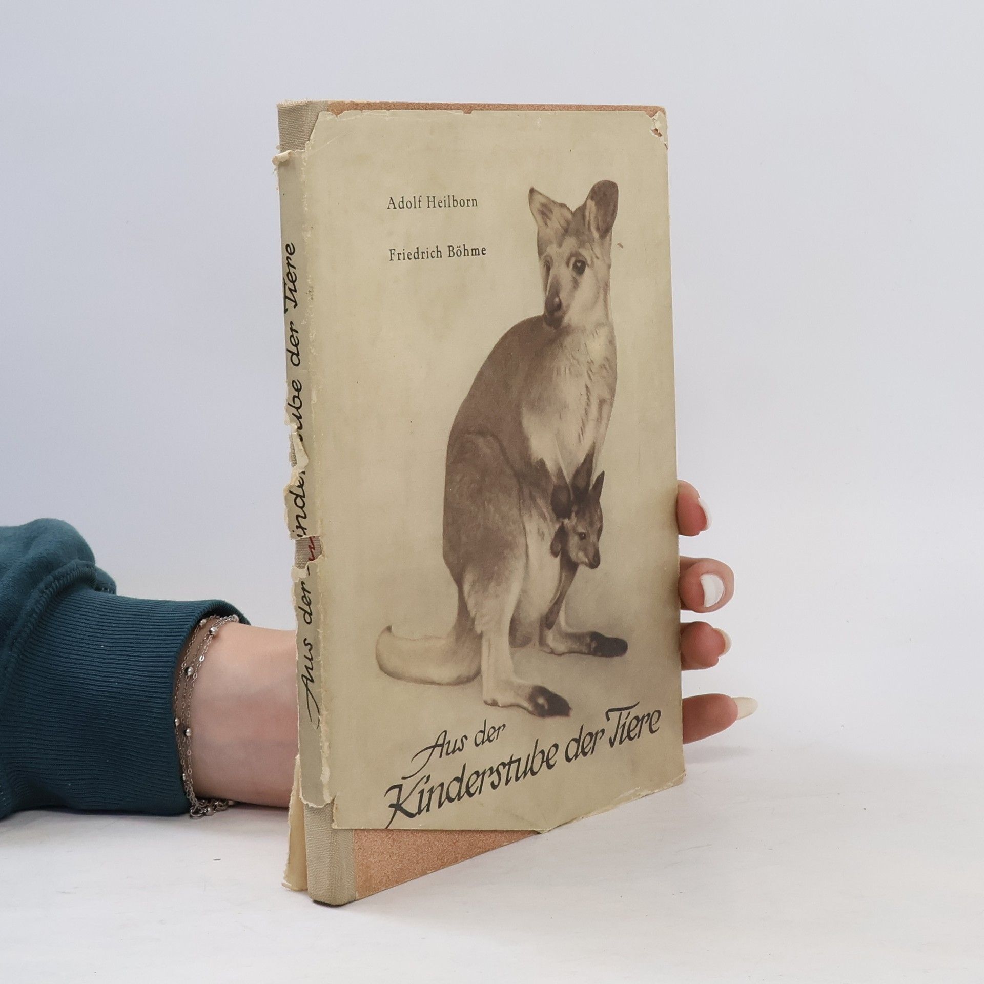 Adolf Heilborn Aus der Kinderstube der Tiere