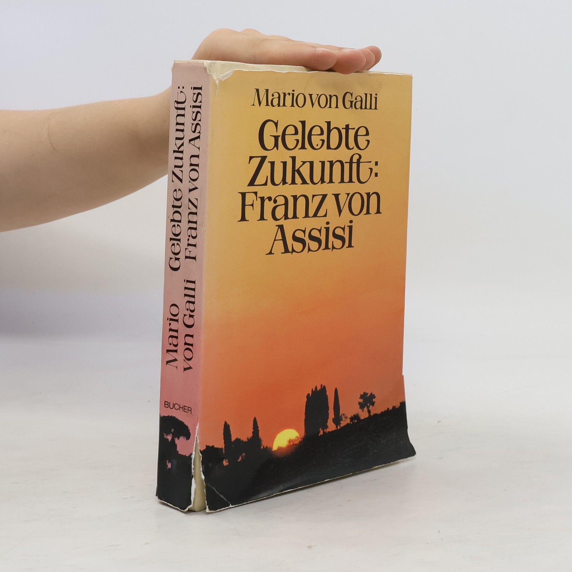 Mario von Galli Gelebte Zukunft: Franz von Assisi