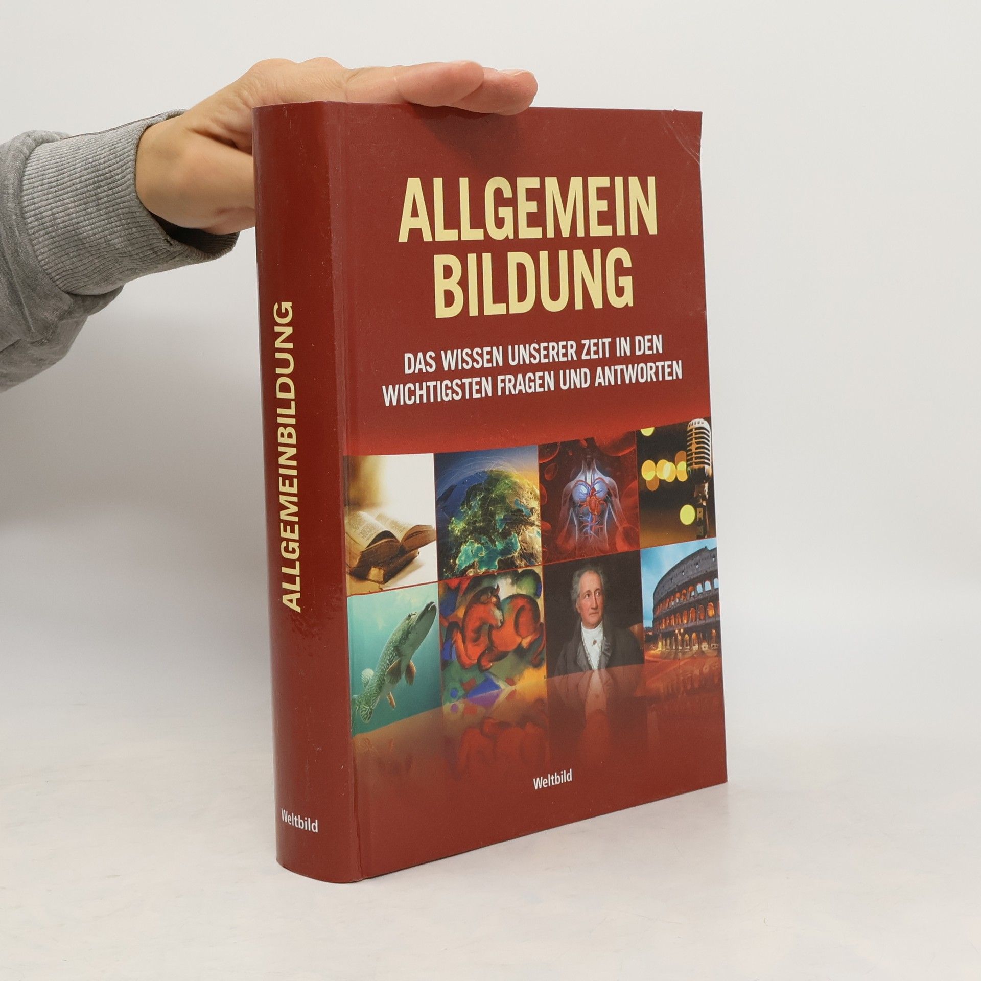 Tanja Böhm Allgemeinbildung