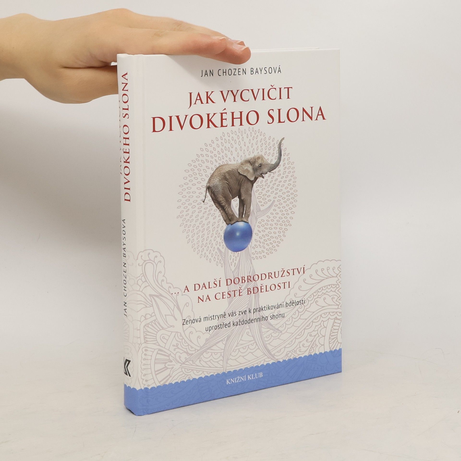 Jan Chozen Bays Jak vycvičit divokého slona...a další dobrodružství na cestě bdělosti