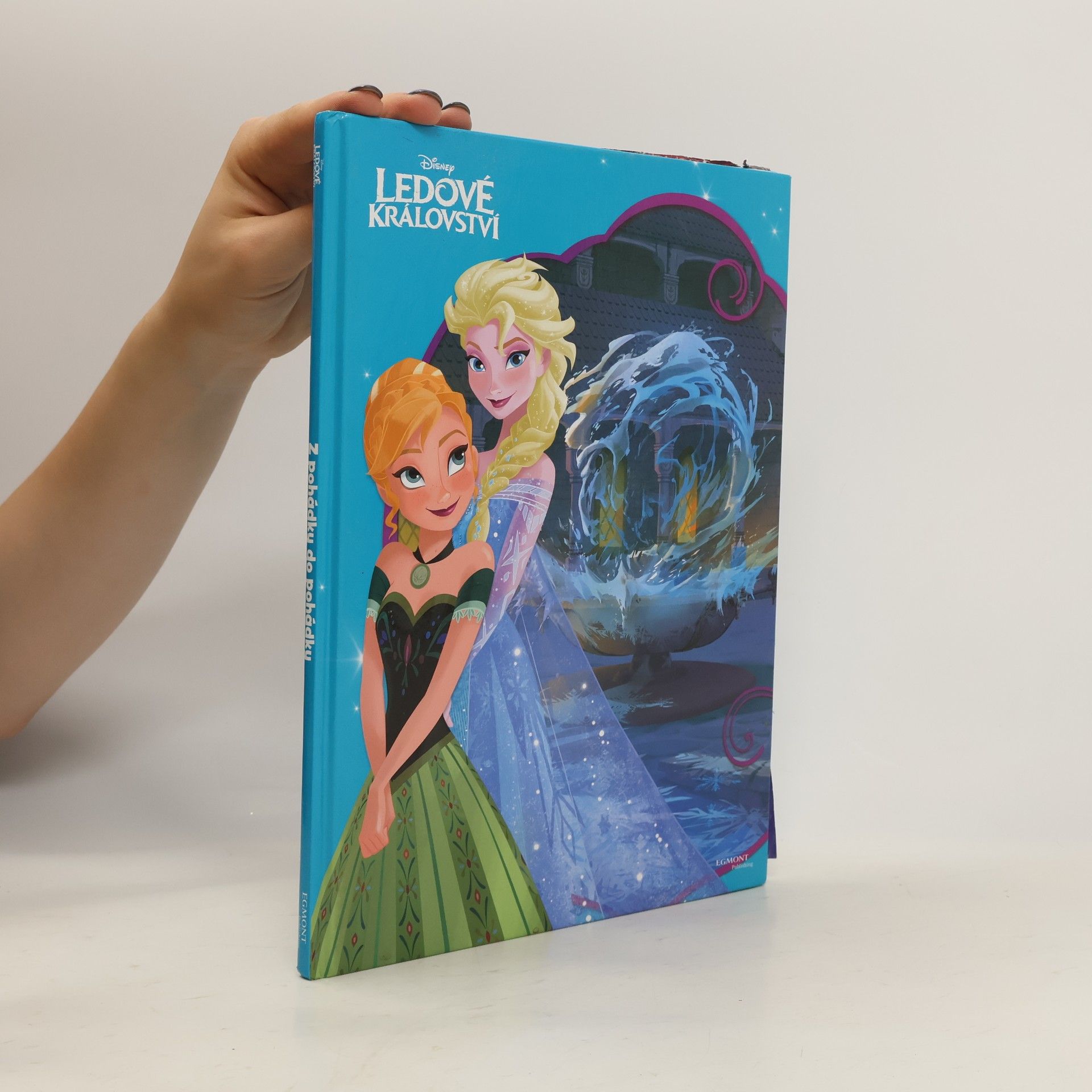 Kolektiv autorů Ledové království