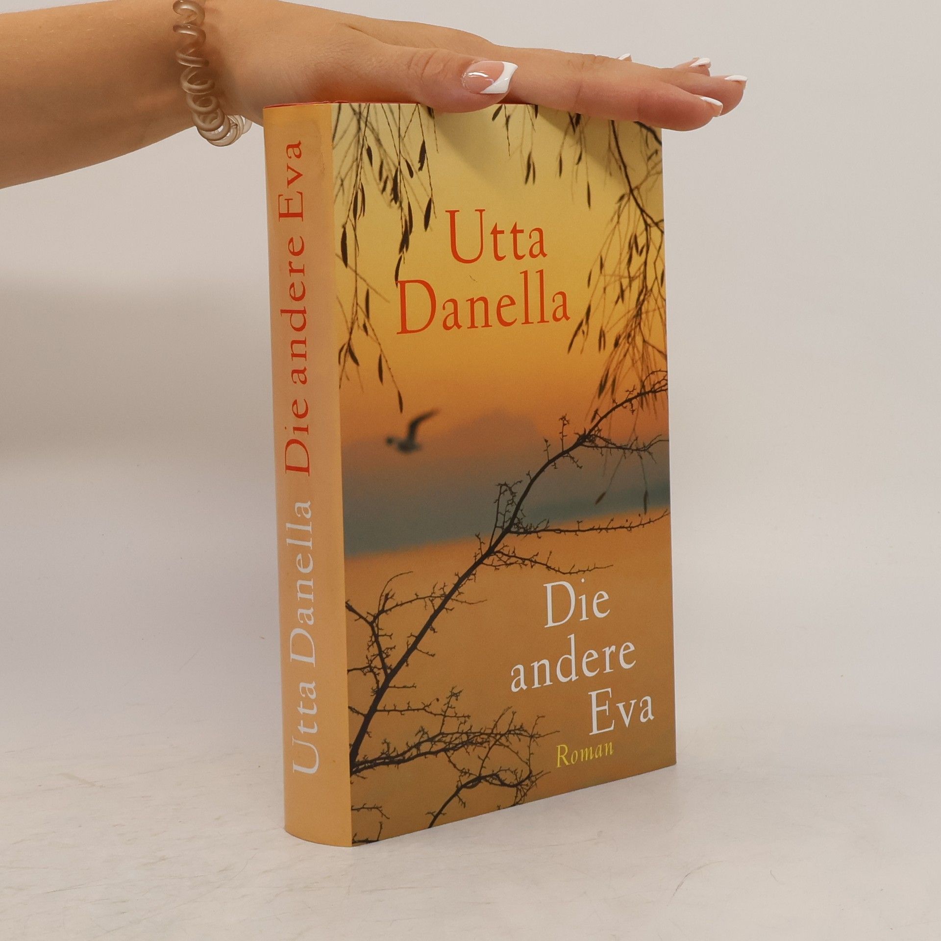 Utta Danella Die andere Eva
