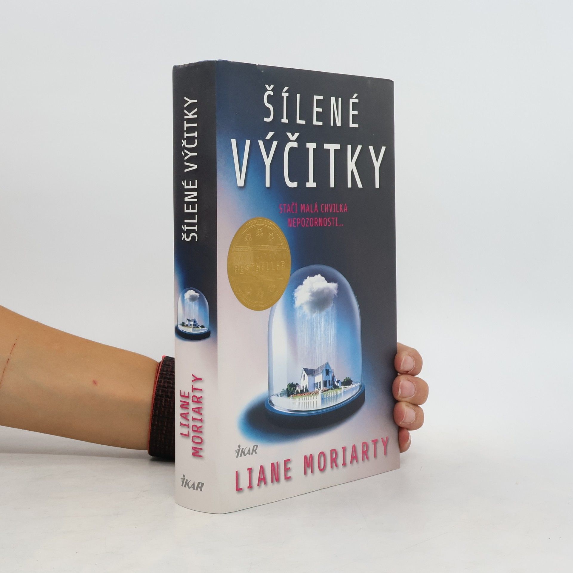Liane Moriarty Šílené výčitky