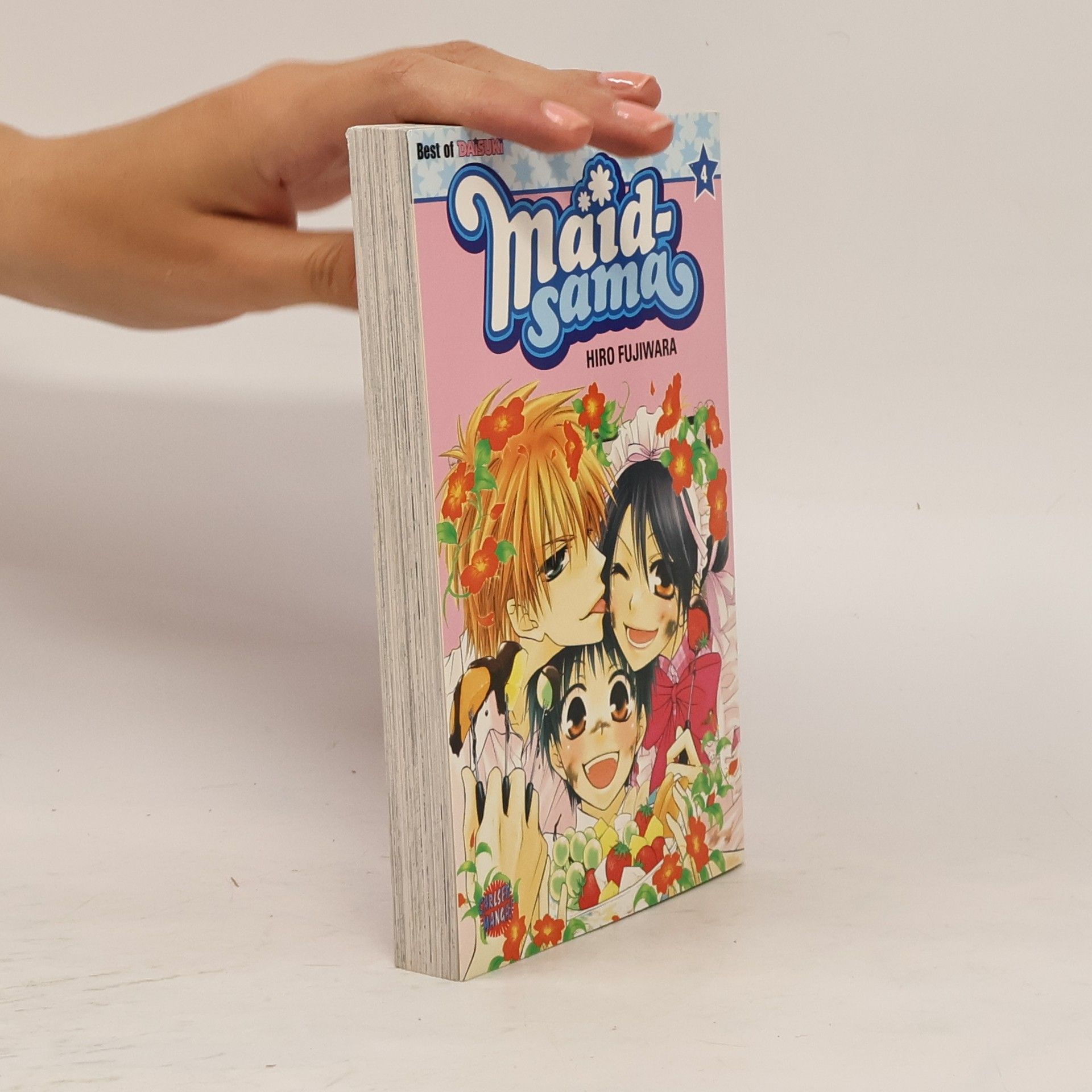 Hiro Fujiwara Maid-sama 4