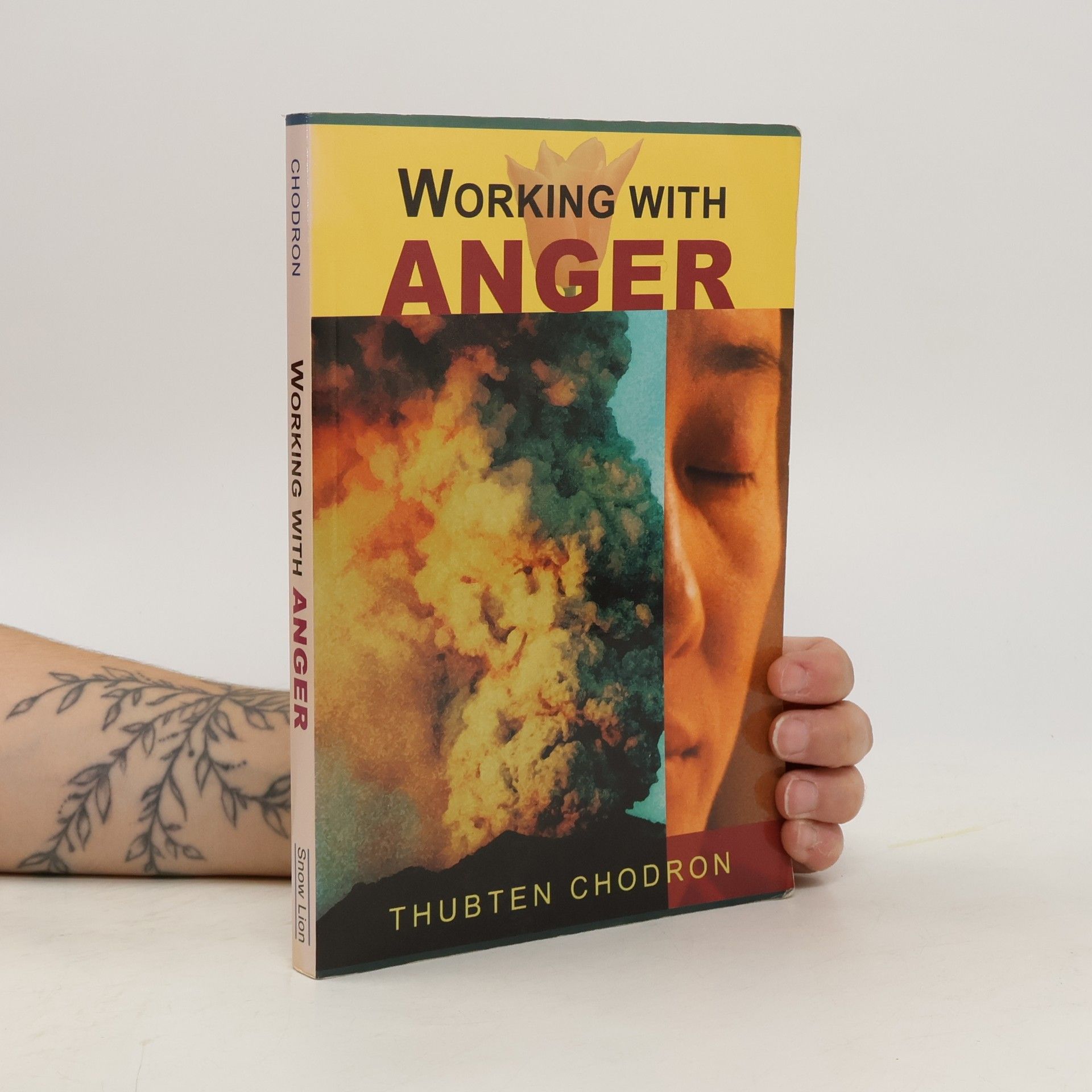 Chödrön Thubten Working with Anger