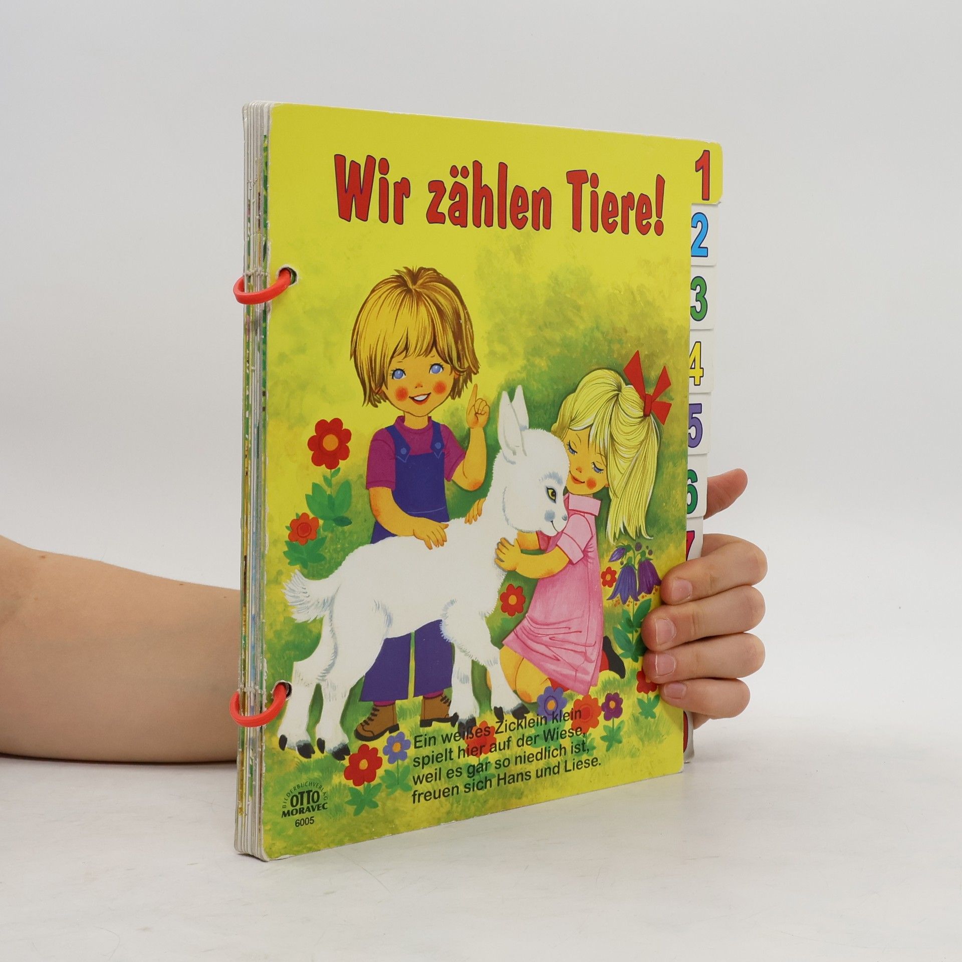 Autorenkollektiv Wir zählen Tiere!