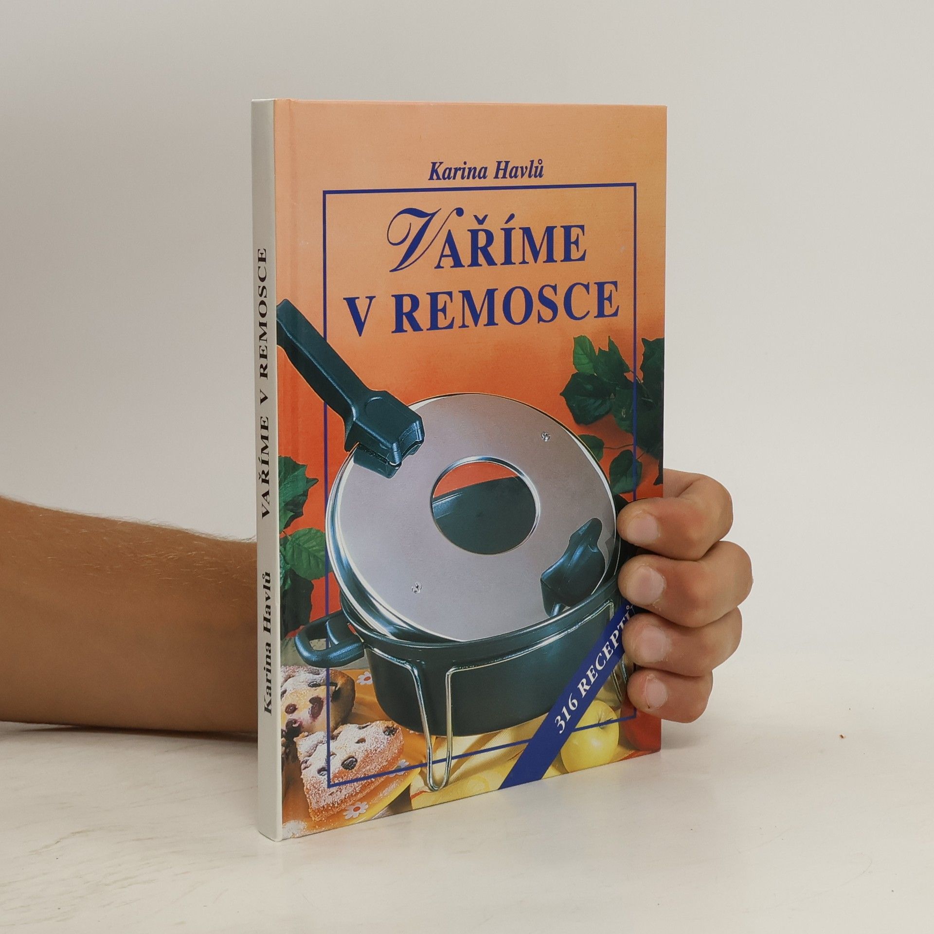 Karina Havlů Vaříme v remosce : 316 receptů