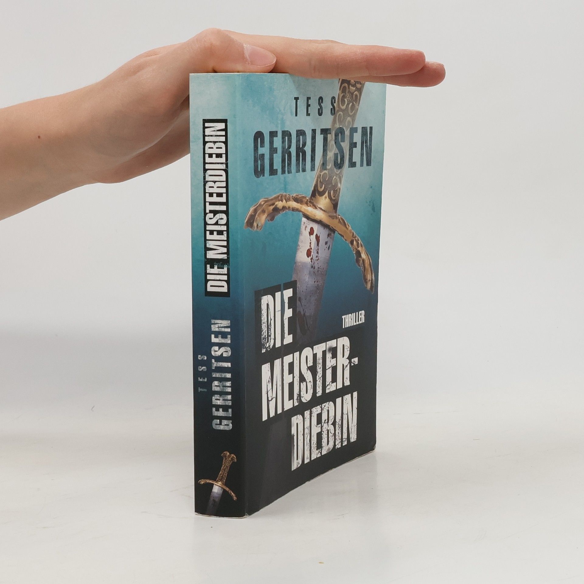 Tess Gerritsen Die Meisterdiebin