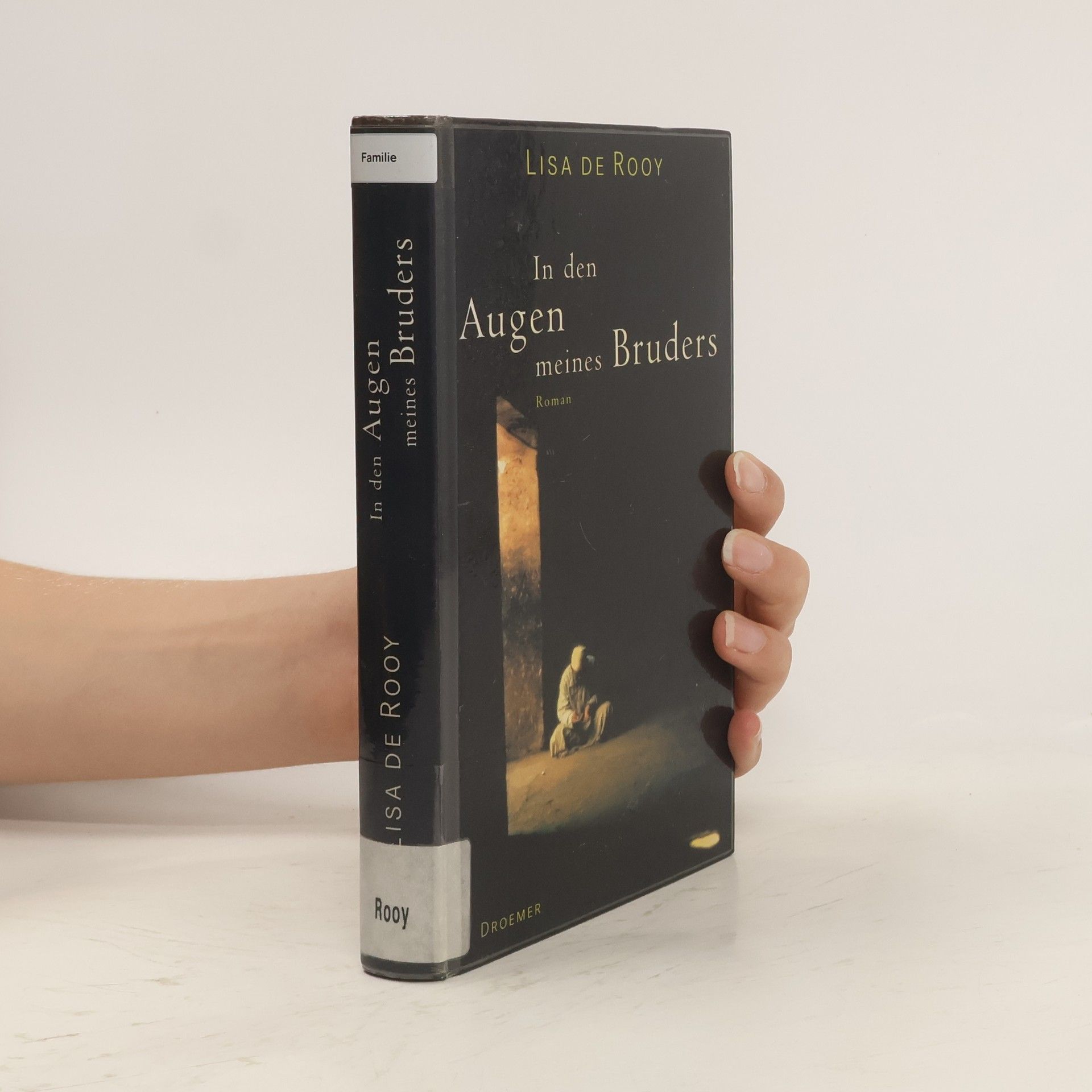Lisa de Rooy In den Augen meines Bruders