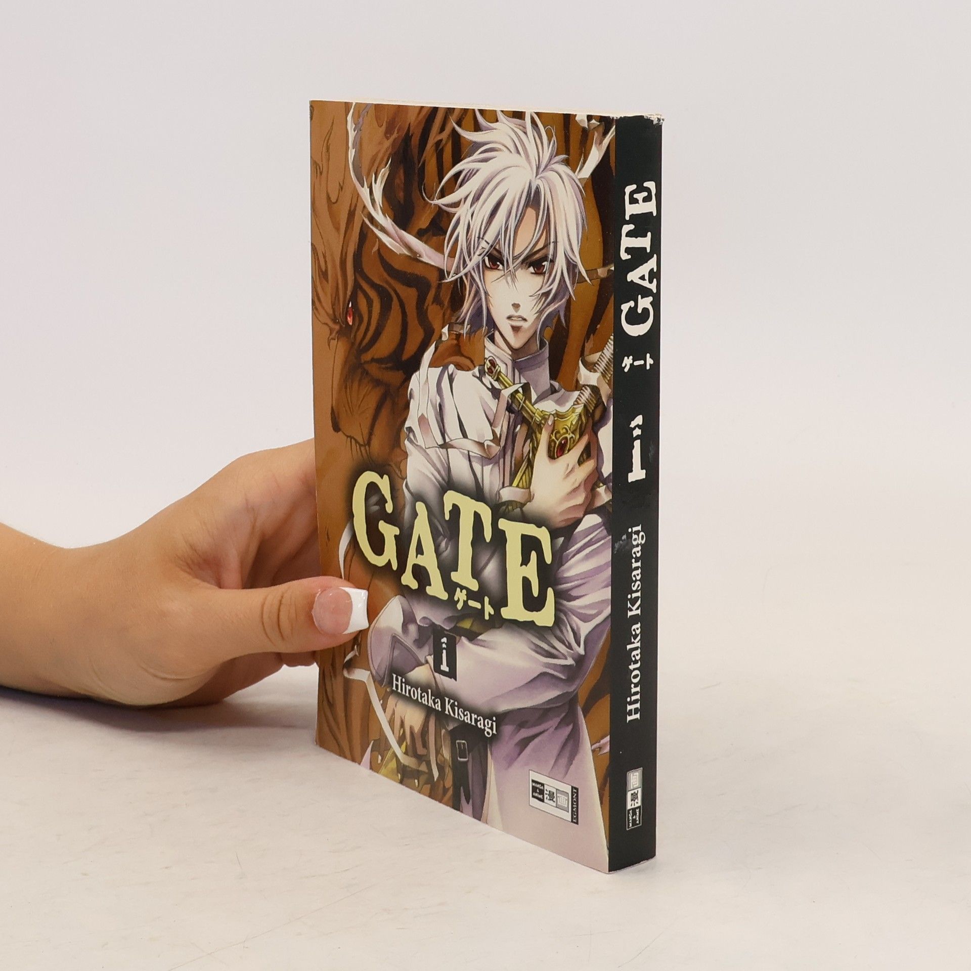 Hirotaka Kisaragi Gate 1