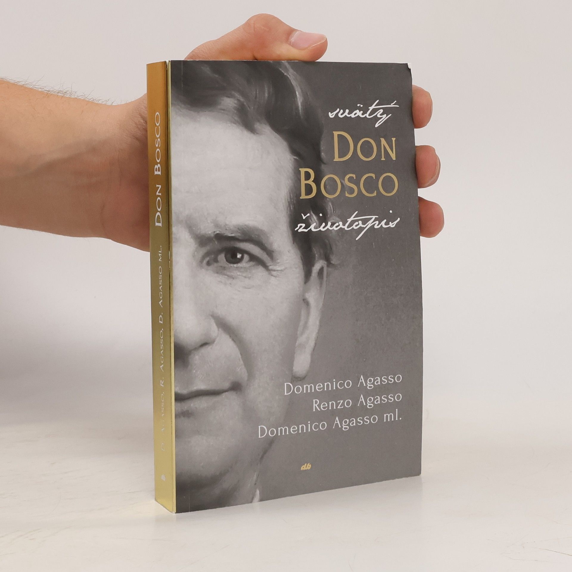 Domenico Agasso ml. Svätý Don Bosco. Životopis