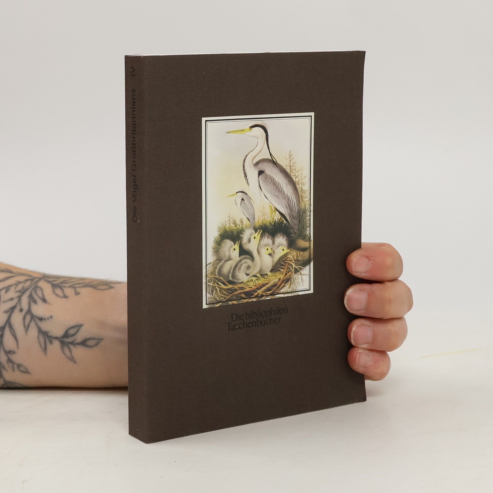 John Gould Die Vögel Großbritanniens IV