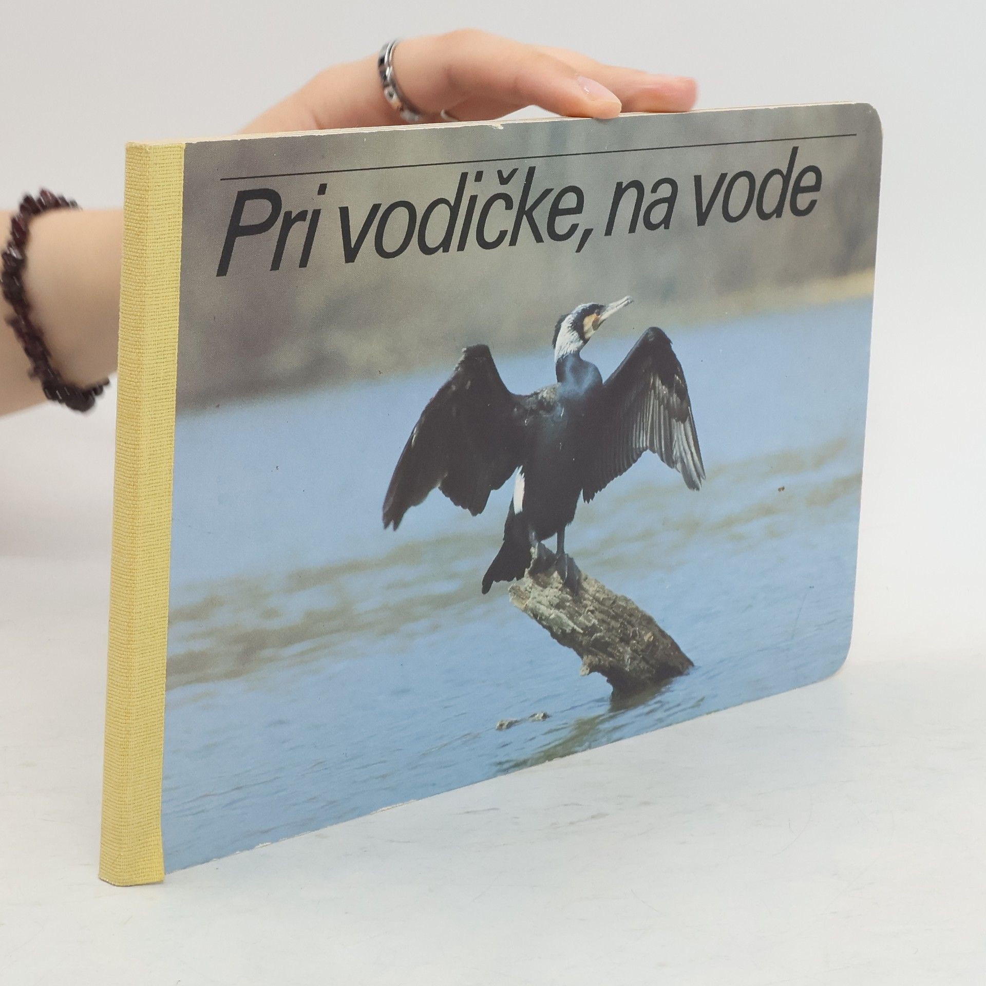Autores varios Pri vodičke, na vode