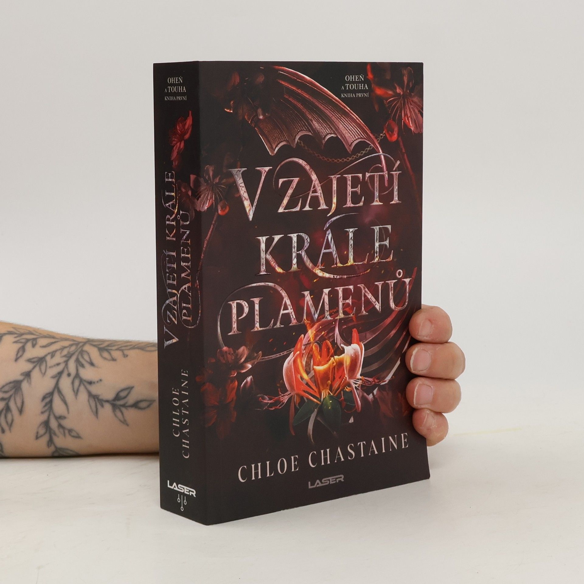 Chloe Chastaine V zajetí krále plamenů