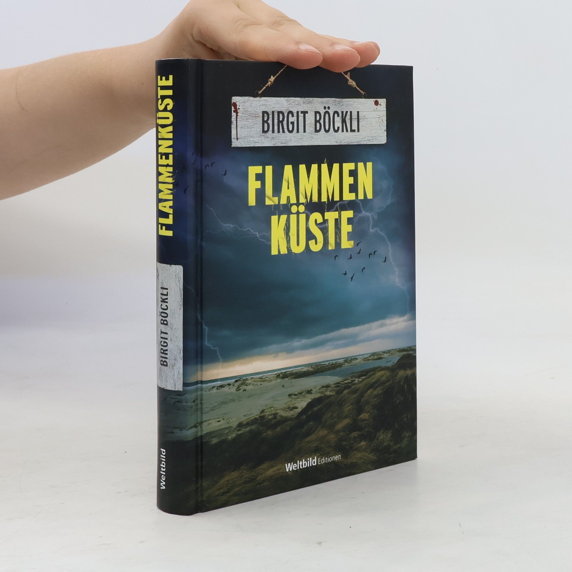 Birgit Böckli Flammen Küste