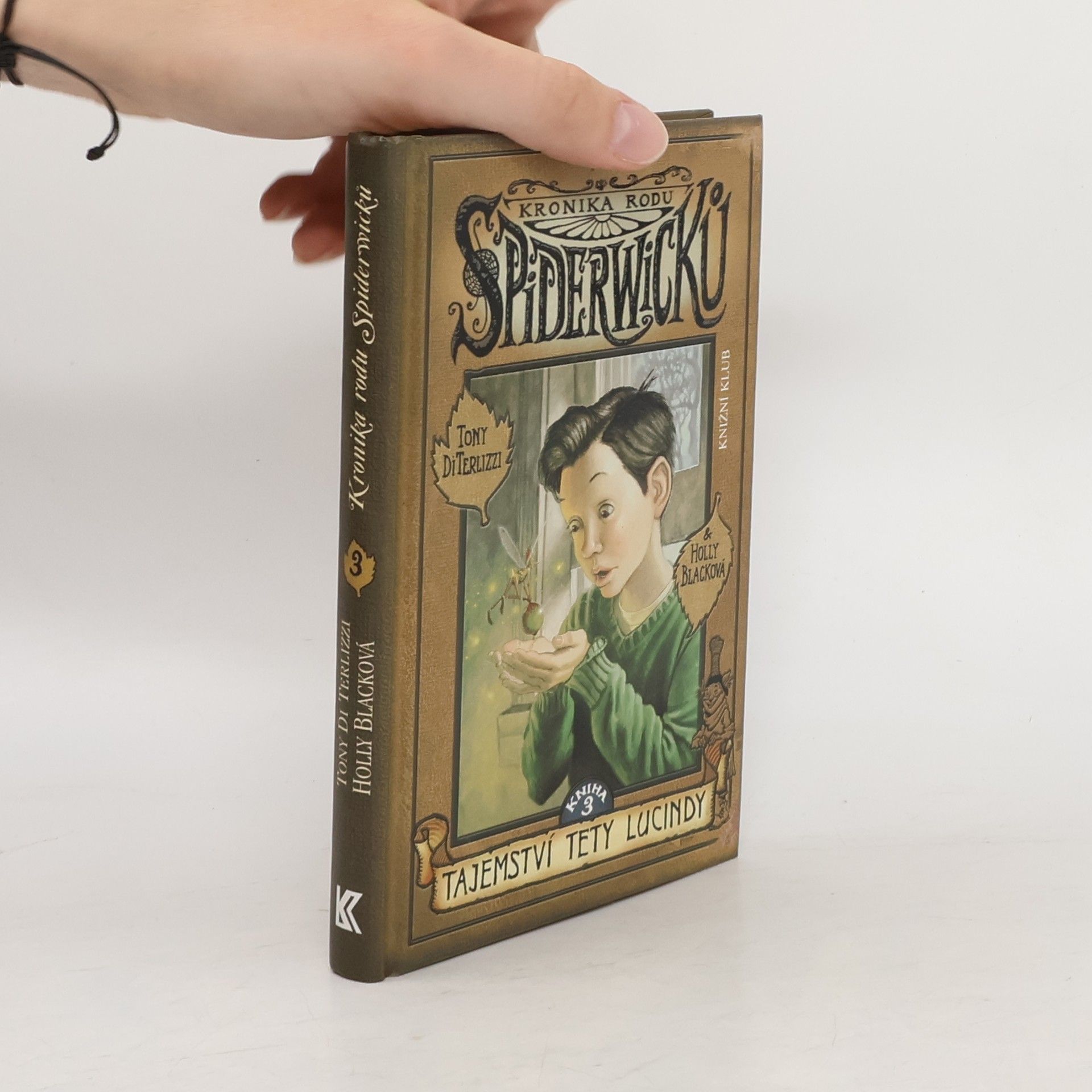 Tony DiTerlizzi Kronika rodu Spiderwicků. Kniha 3, Tajemství tety Lucindy