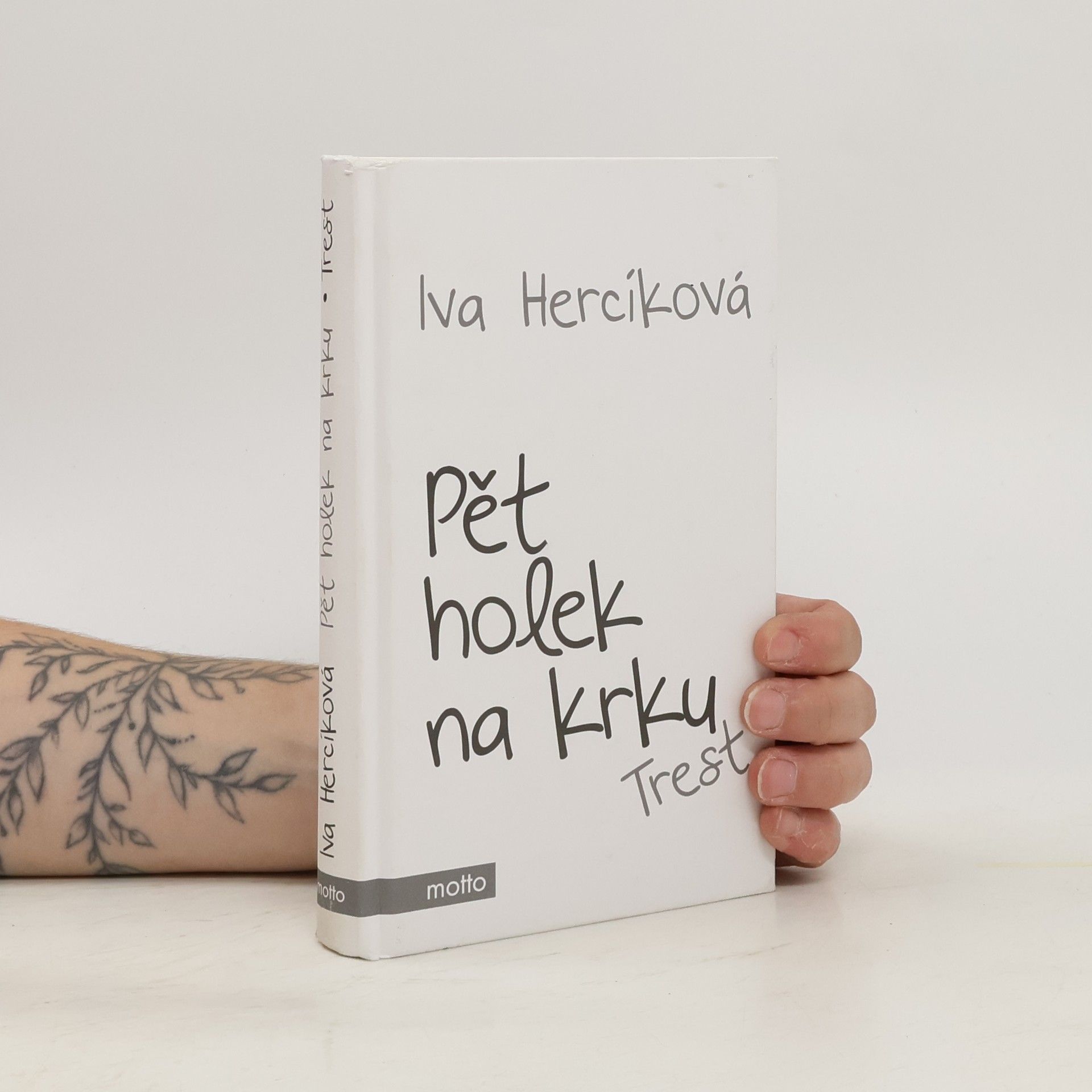 Iva Hercíková Pět holek na krku. Trest