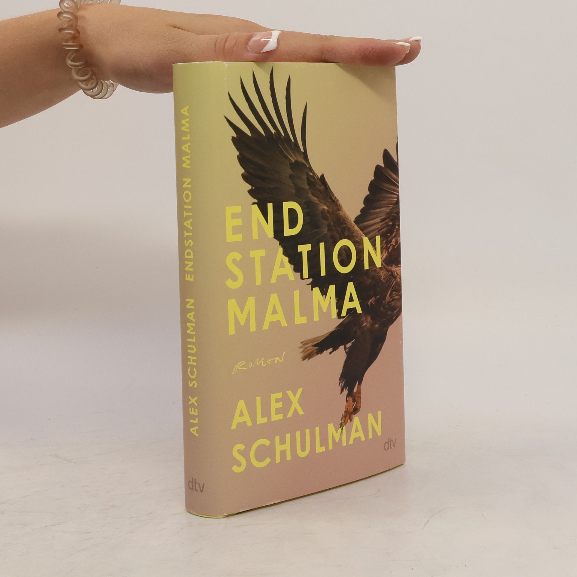 Alex Schulman Endstation Malma