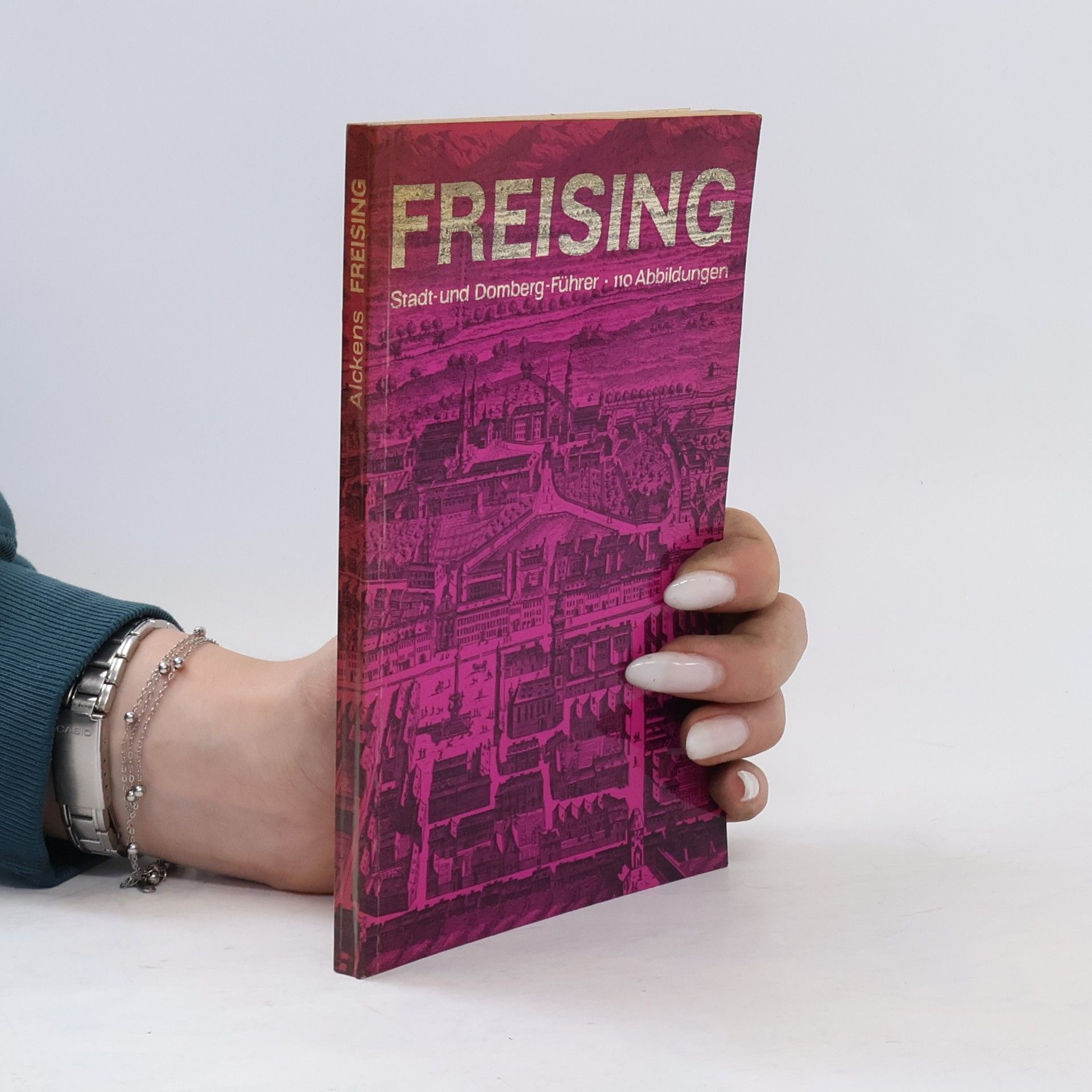 August Alckens Freising. Stadt- und Dombergführer