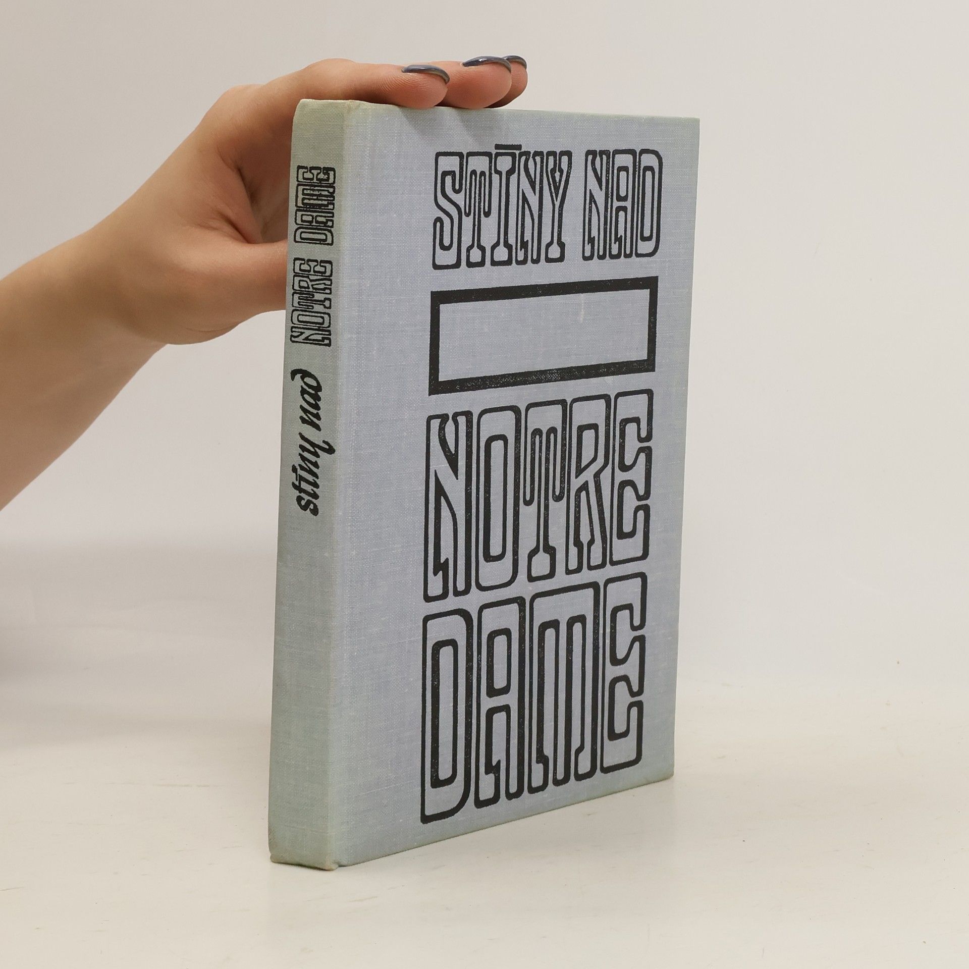 Herbert Schauer Stíny nad Notre Dame